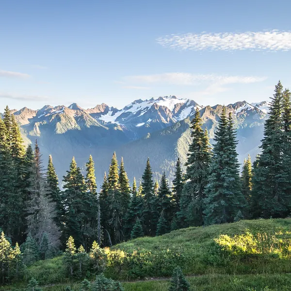 Snapshot: A Crash Course in the National Parks of the Lower 48 States