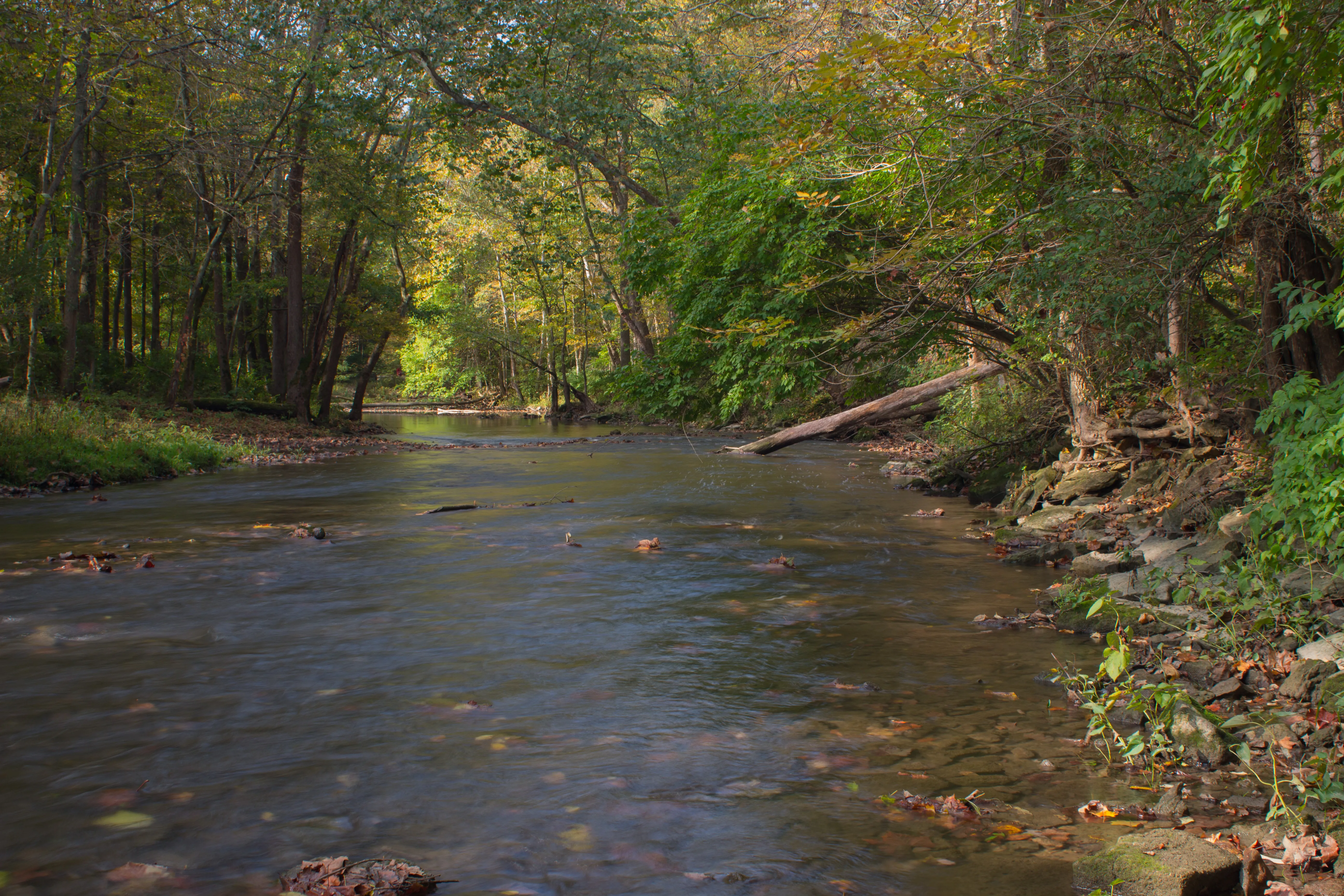 Hike the North Rim of the Little Miami River