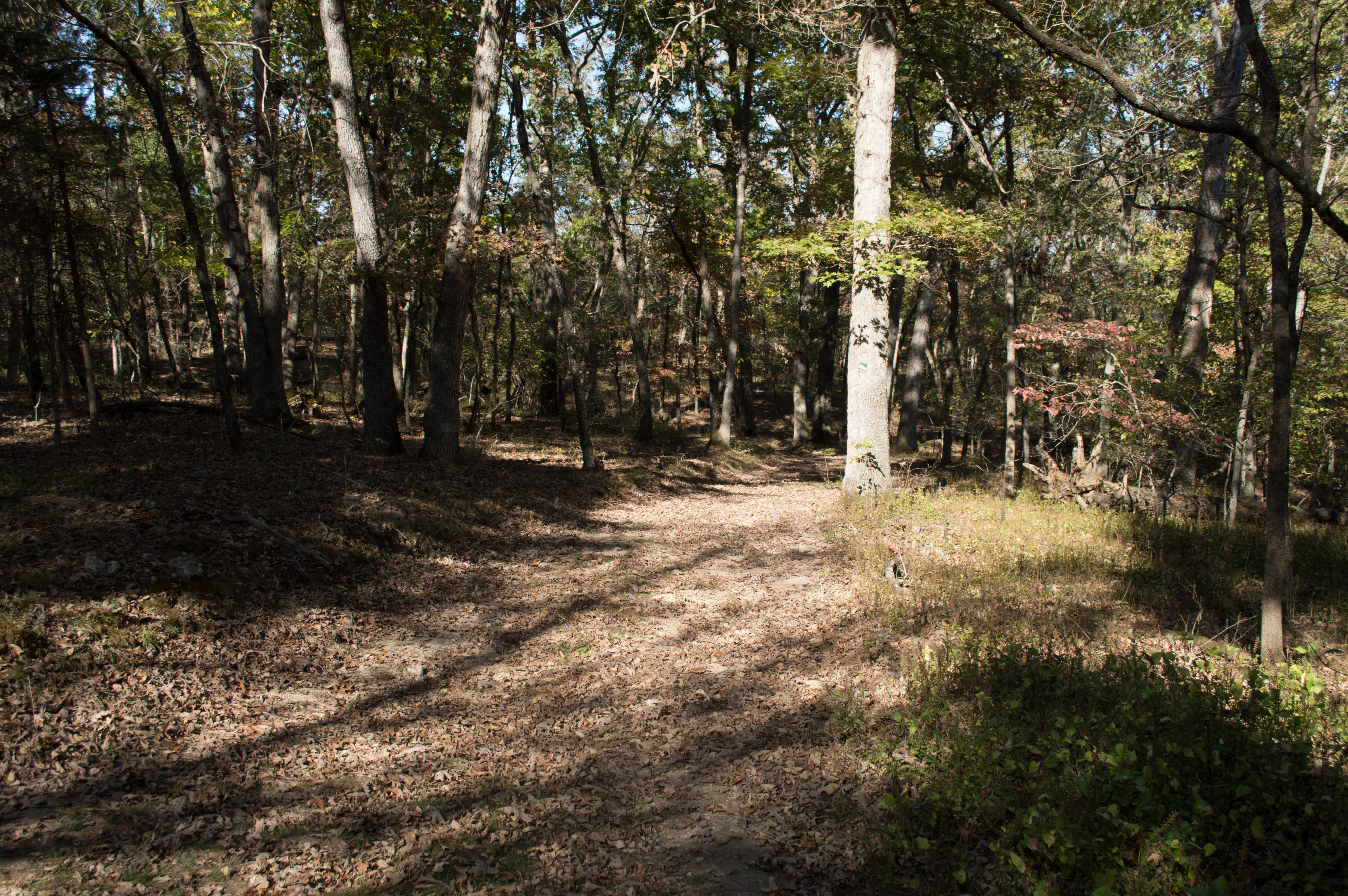 Hike Hidden Springs Trail