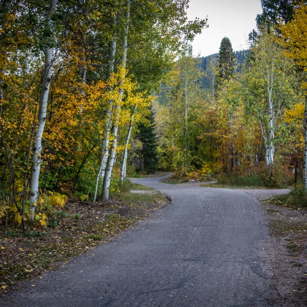 Camp Difficult Campground, Aspen