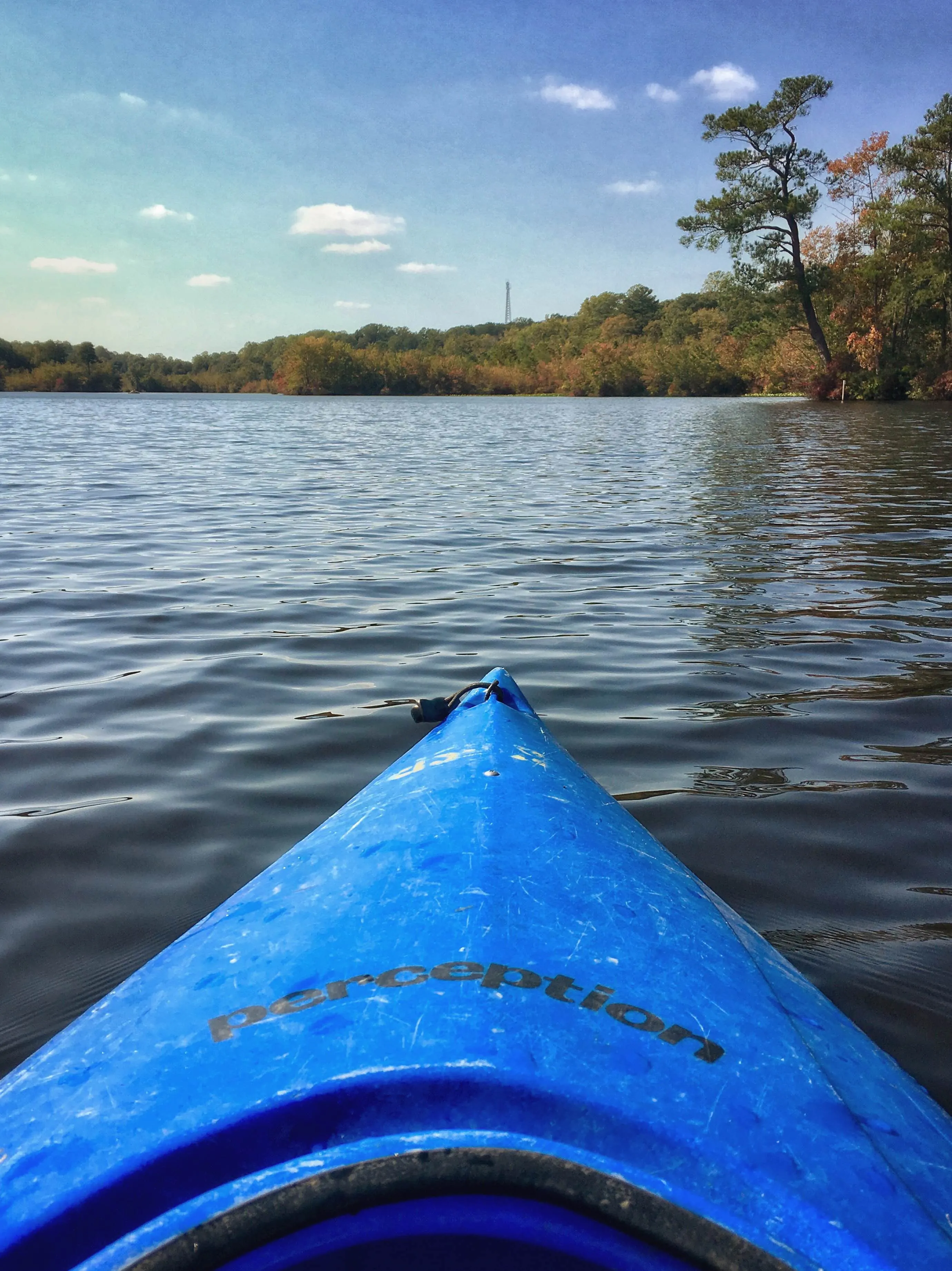 Kayak Killens Pond