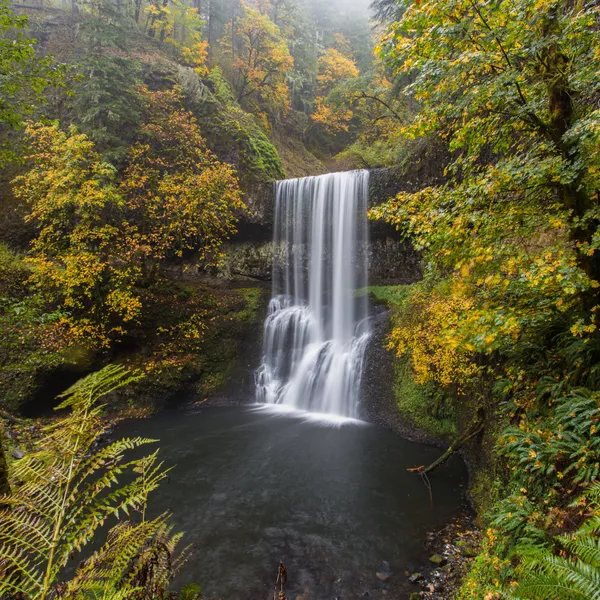 The Best 7 Hikes Within 90 Minutes of Portland