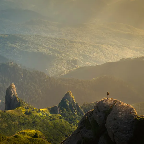 If You Love the Outdoors, You're an Environmentalist. But How Can You Take Action? 