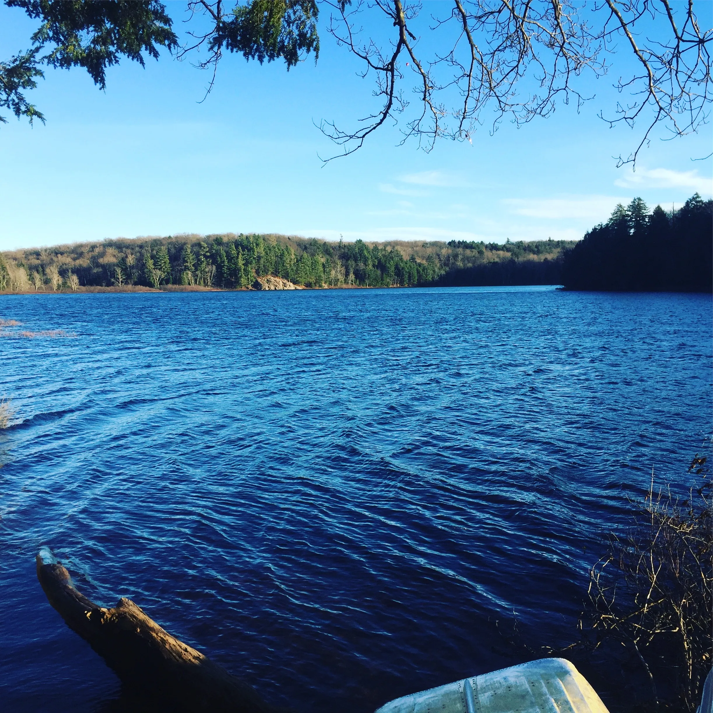 Mirror Lake Cabins Loop
