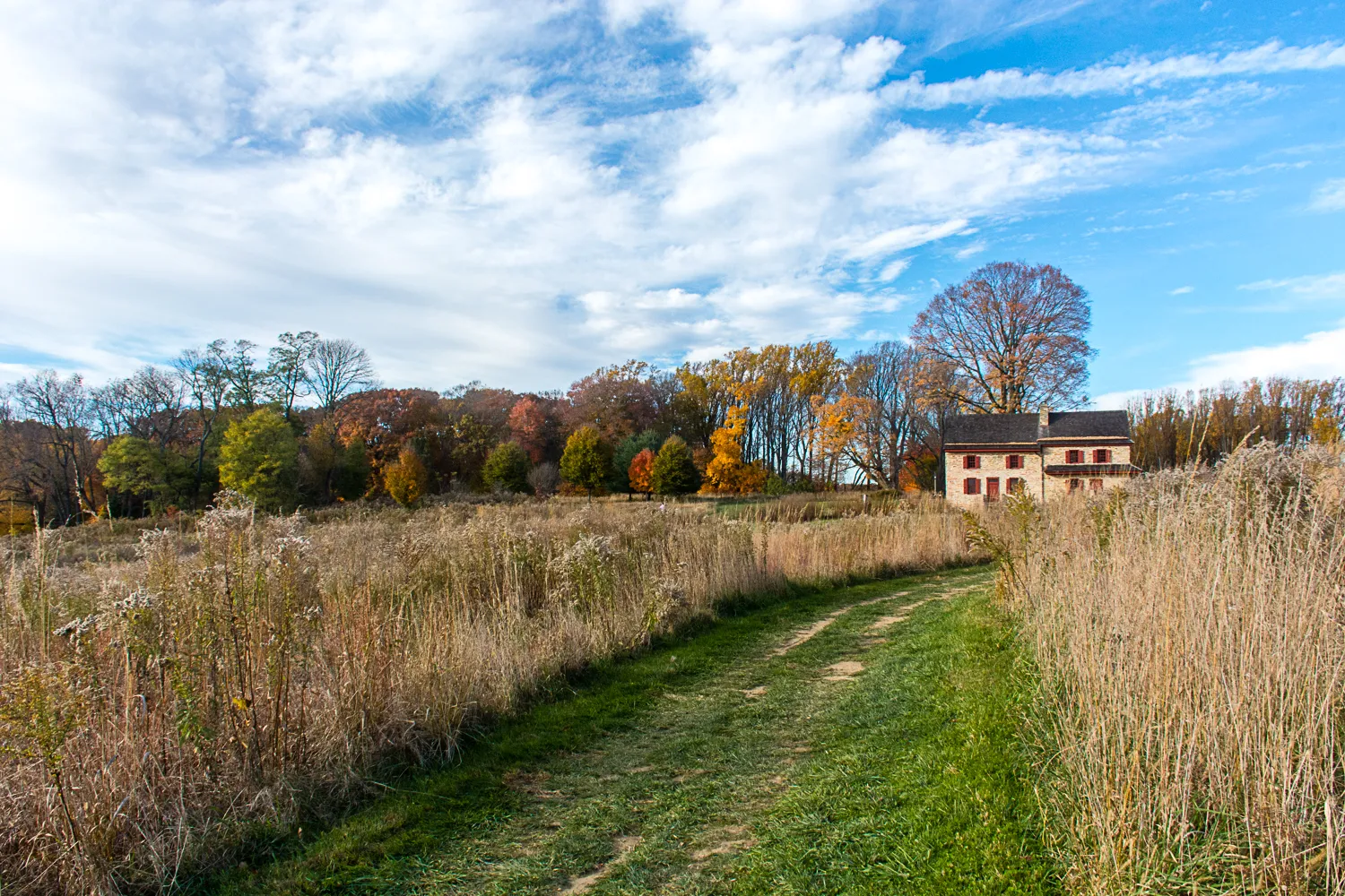 Hike the Meadow Garden at Longwood Gardens