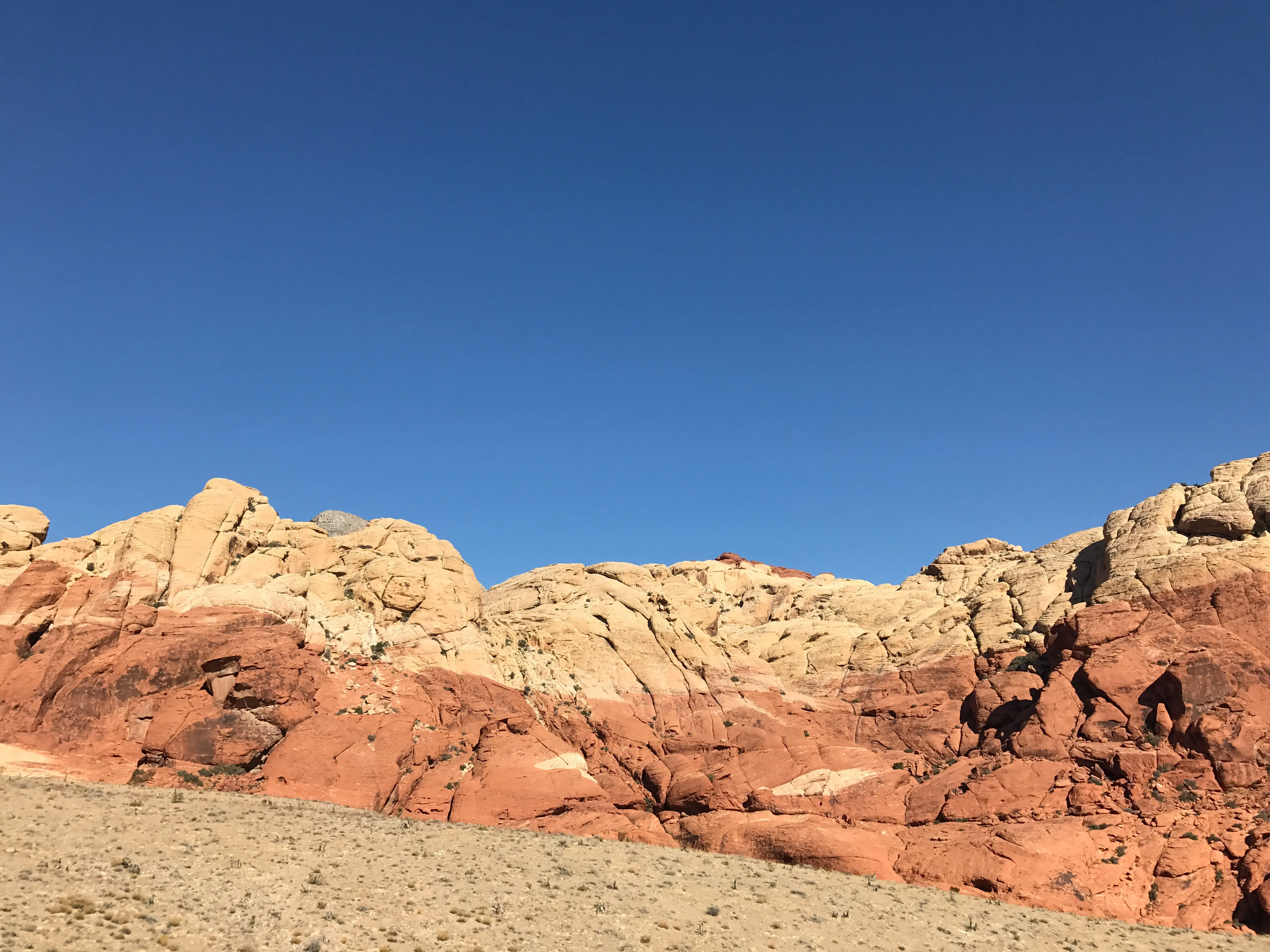 Hike or Trail Run White Rock to Willow Springs