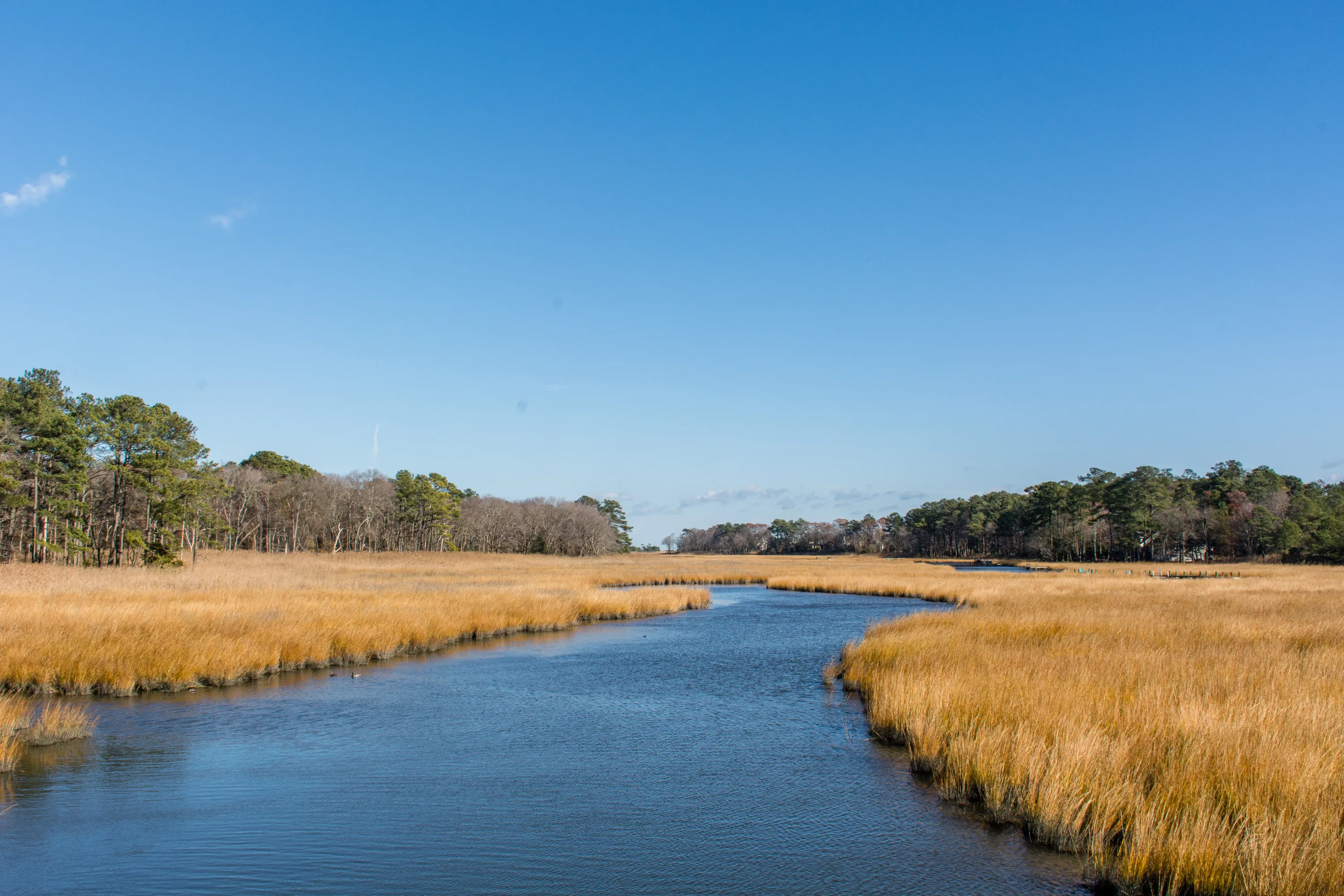 Bike the Junction and Breakwater Trail