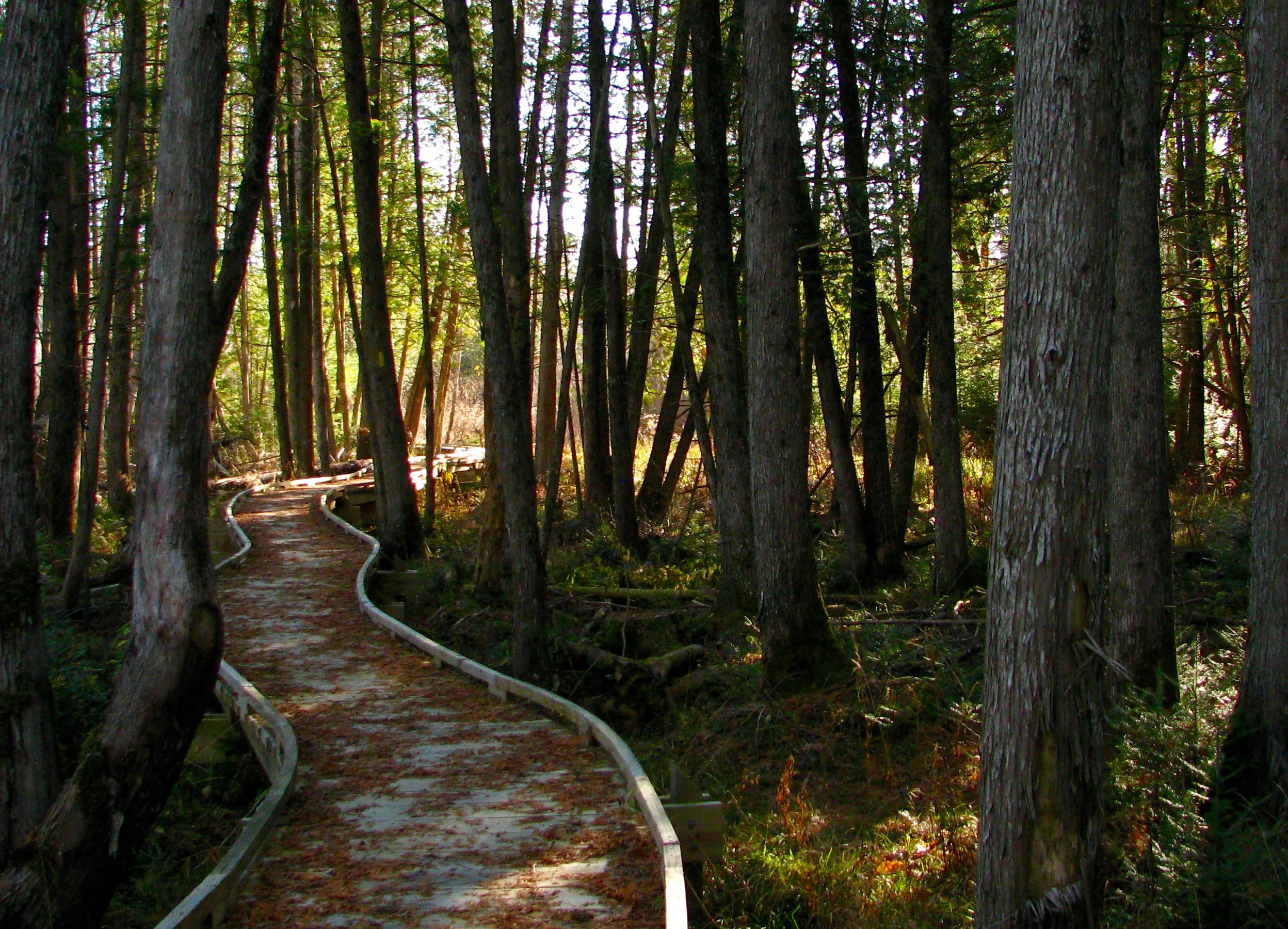 Hike the Plover River Segment of the Ice Age National Scenic Trail