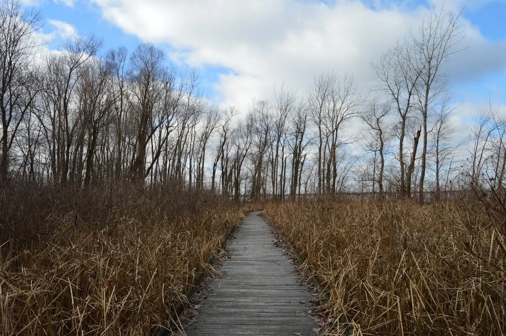Hike the Pew Island Trail, Indian Lake