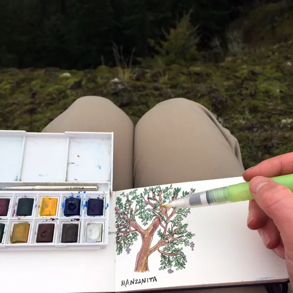 The Essential Backcountry Art Kit 