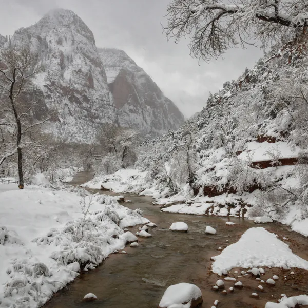 The Many Benefits of Exploring Zion National Park in the Winter
