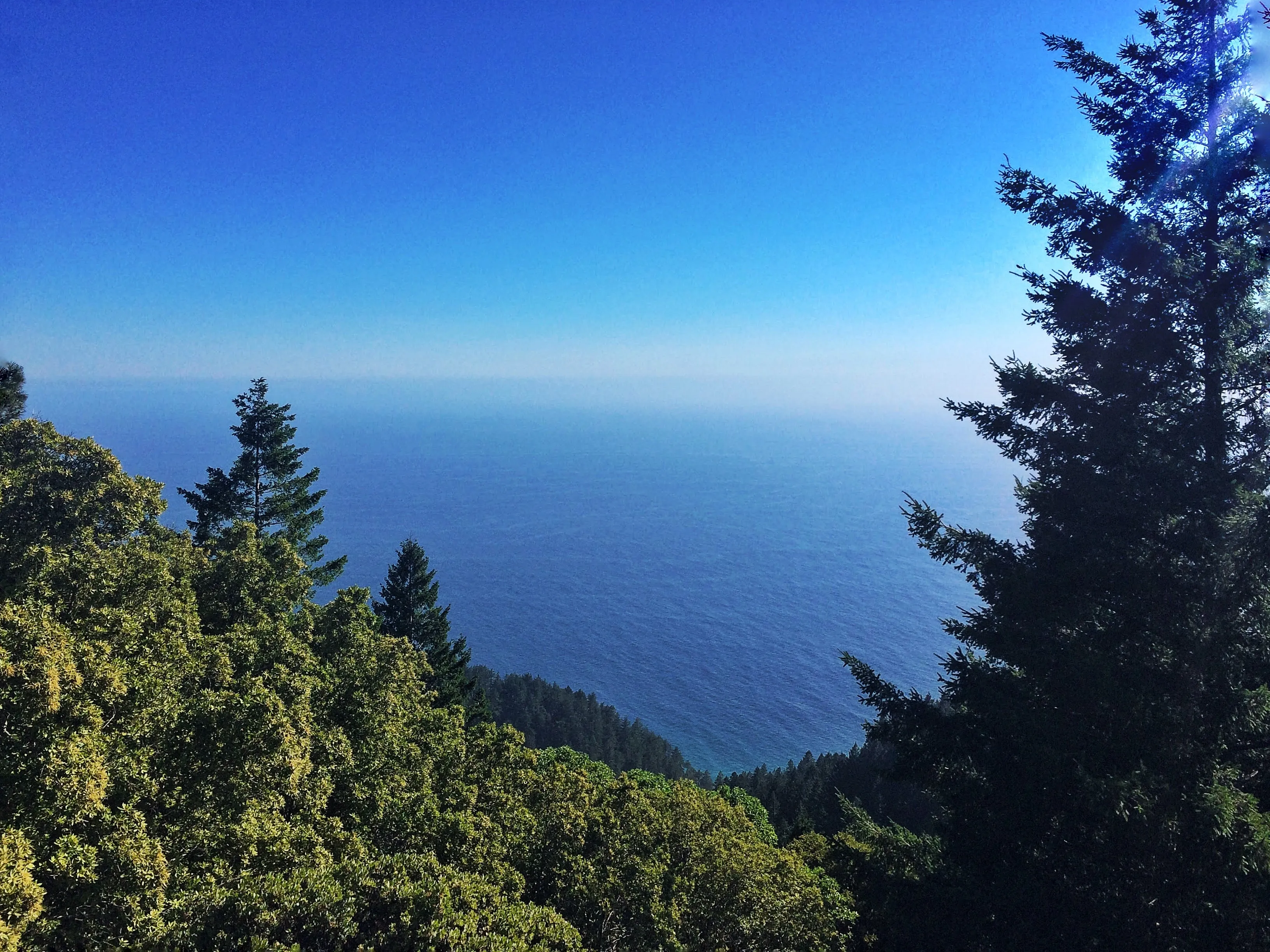 Chinquapin Loop on The Lost Coast