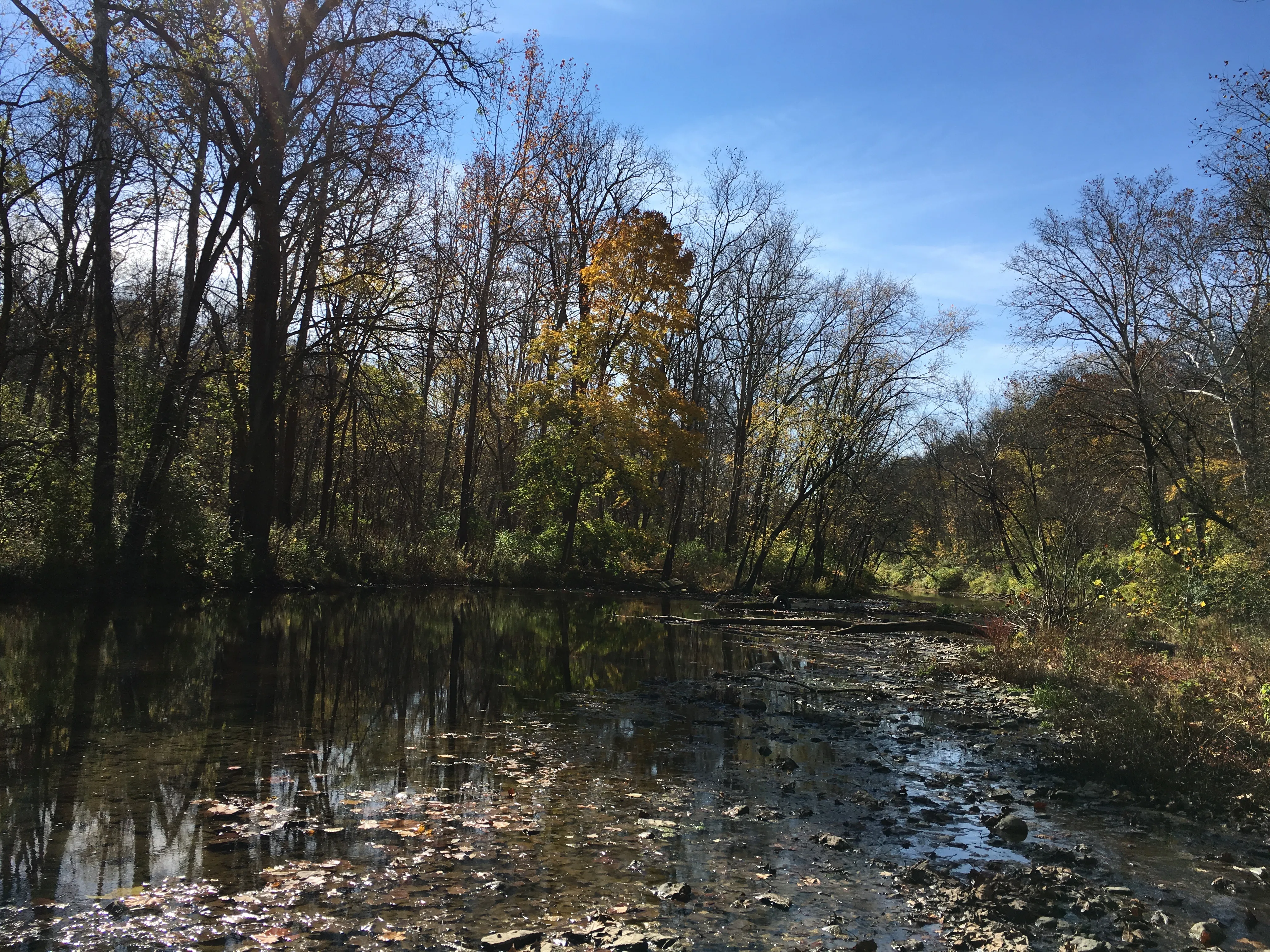 Bike or Run on the Cardinal Greenway