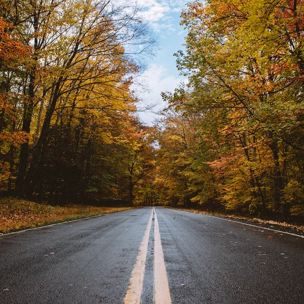 Chasing Fall: A Day in the Catskills