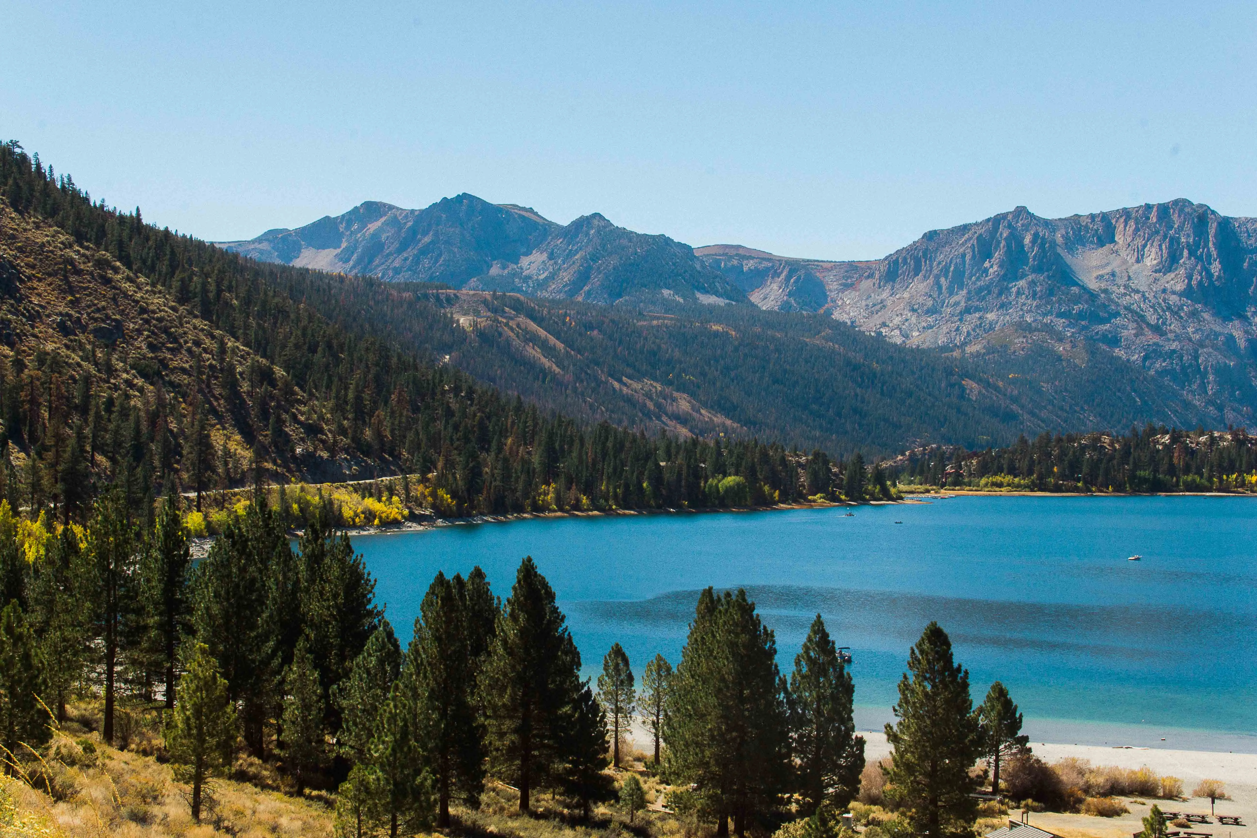 Camp at Oh Ridge Campground on June Lake