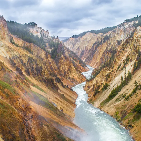 Why I'm Taking the Yellowstone Pledge