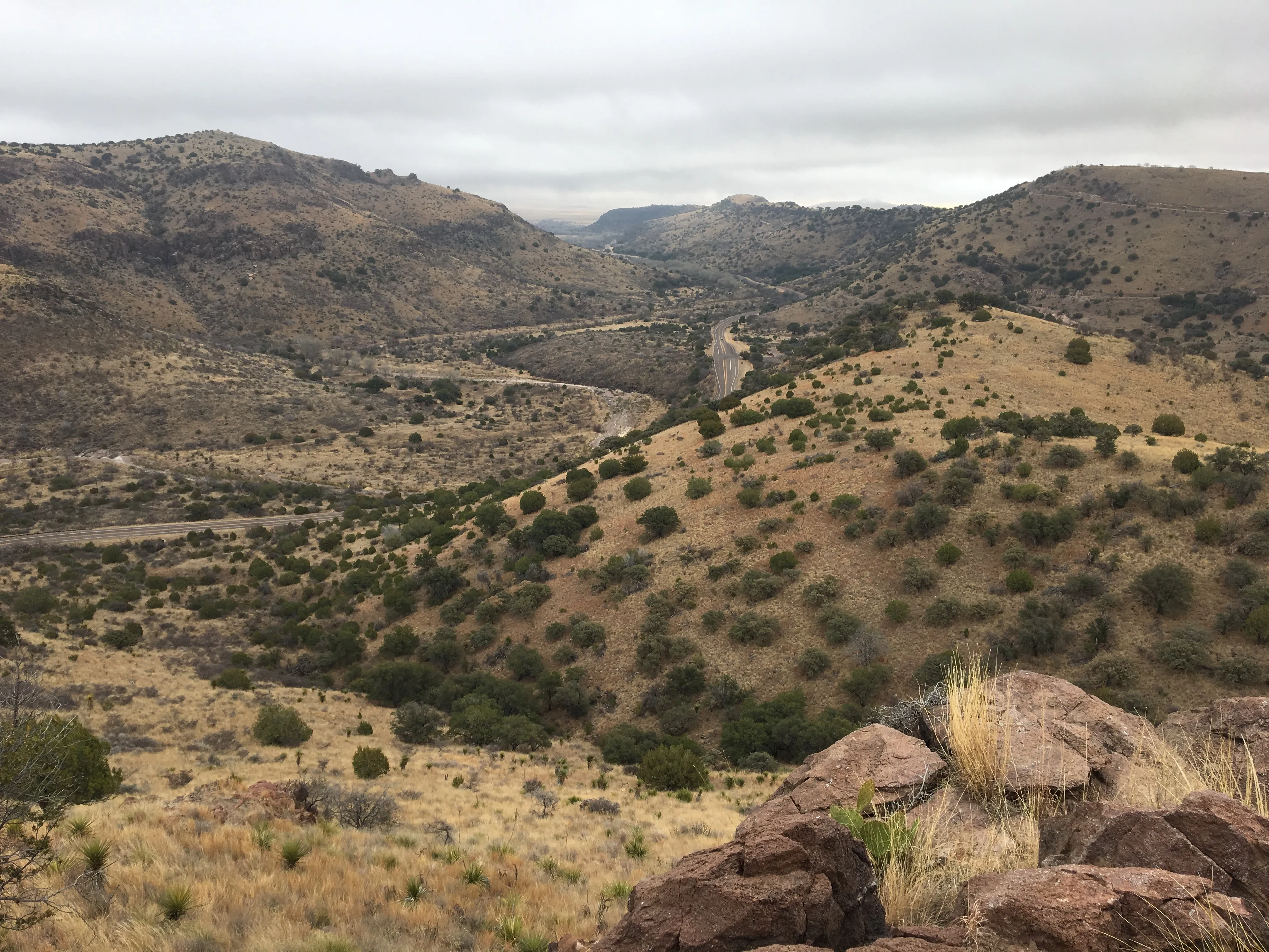 Davis Mountains State Park Loop