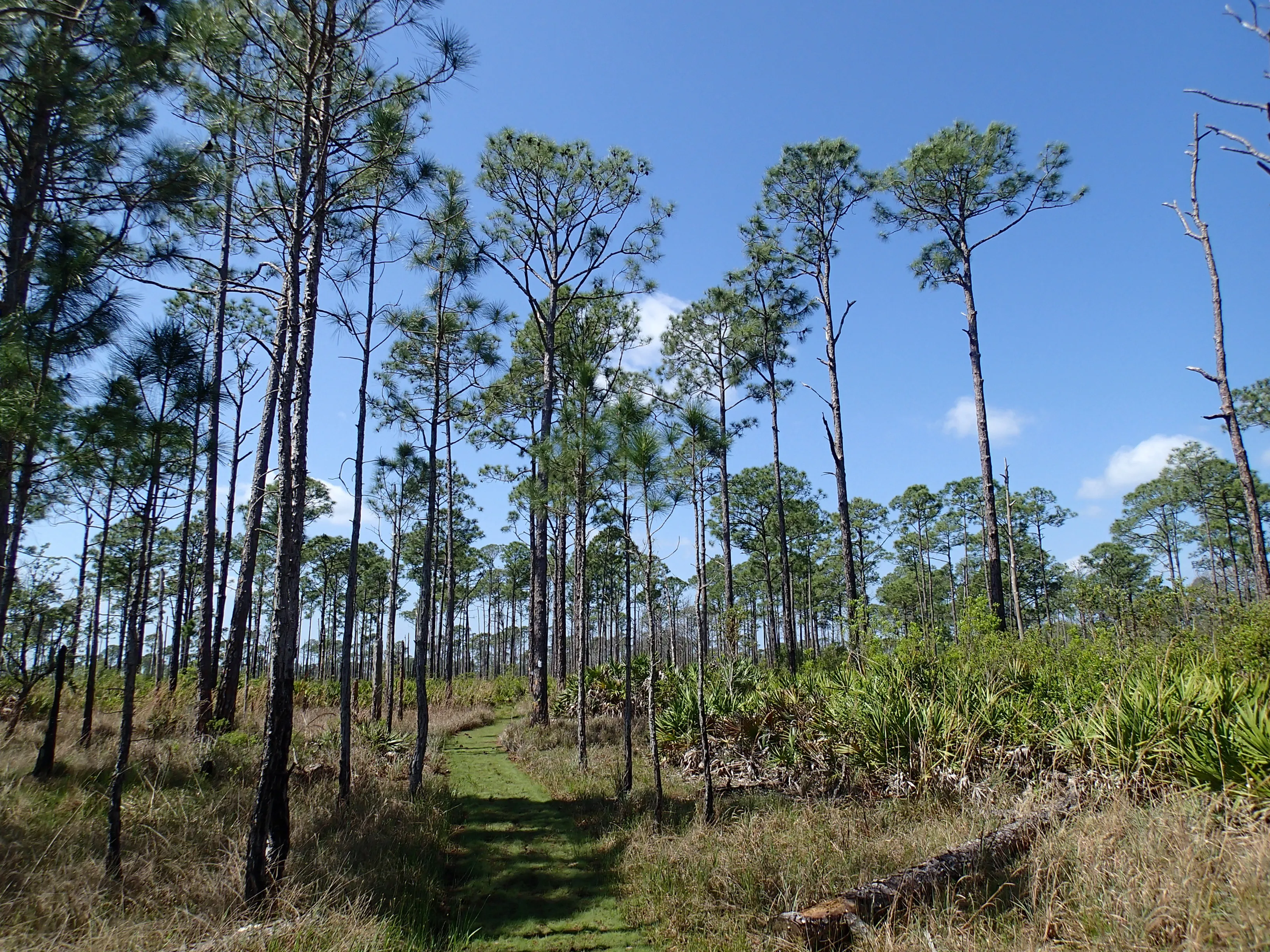 Hike the Buster Island Loop