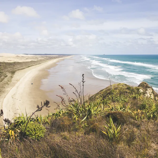 All the Way North: Our Family's 7 Week Road Trip of New Zealand