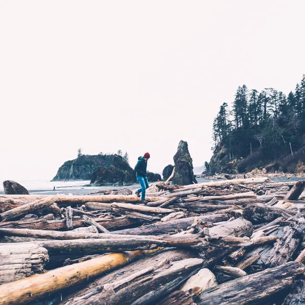 How We Explored the Olympic Peninsula in Just One Day