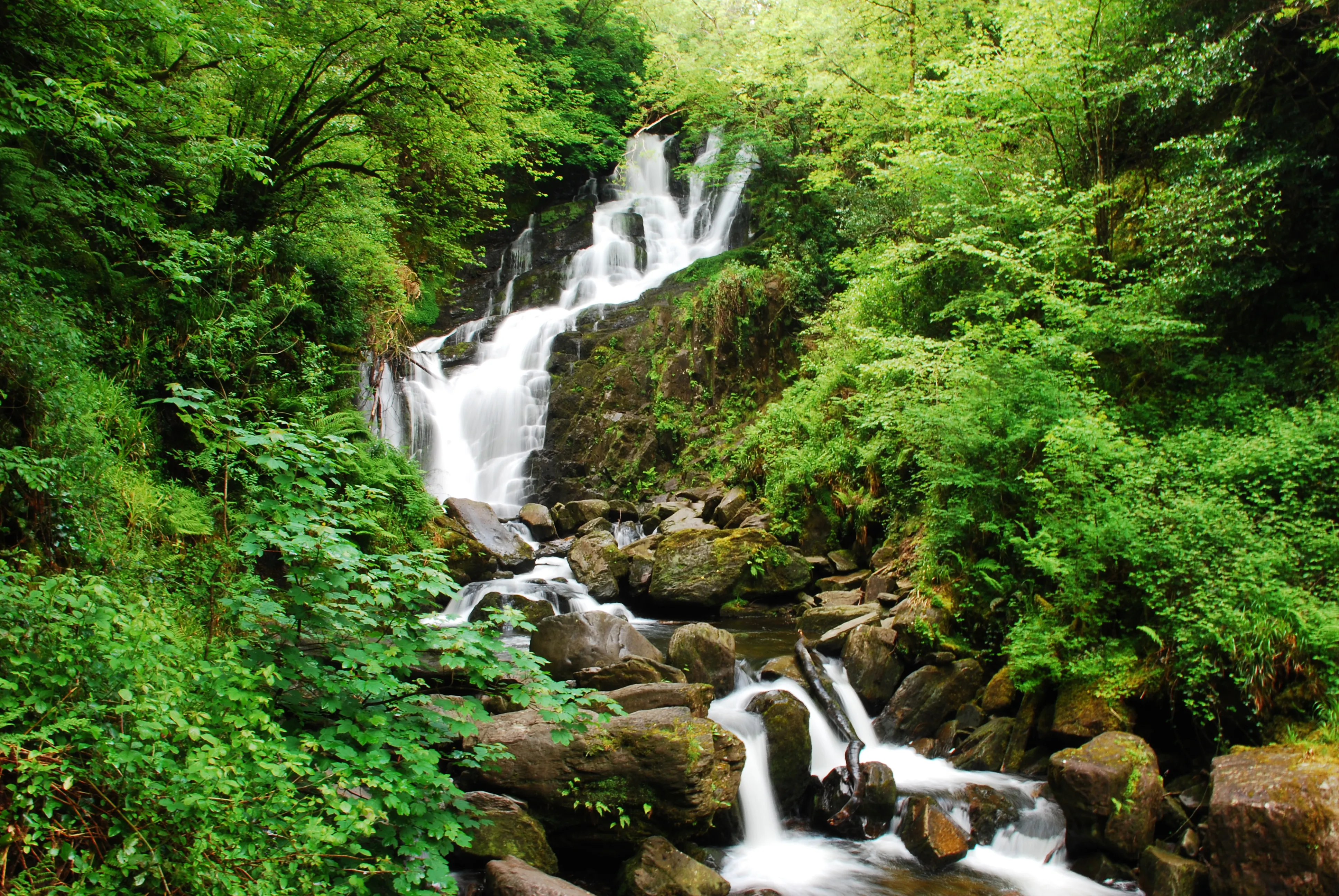 Hike the Torc Waterfall Loop