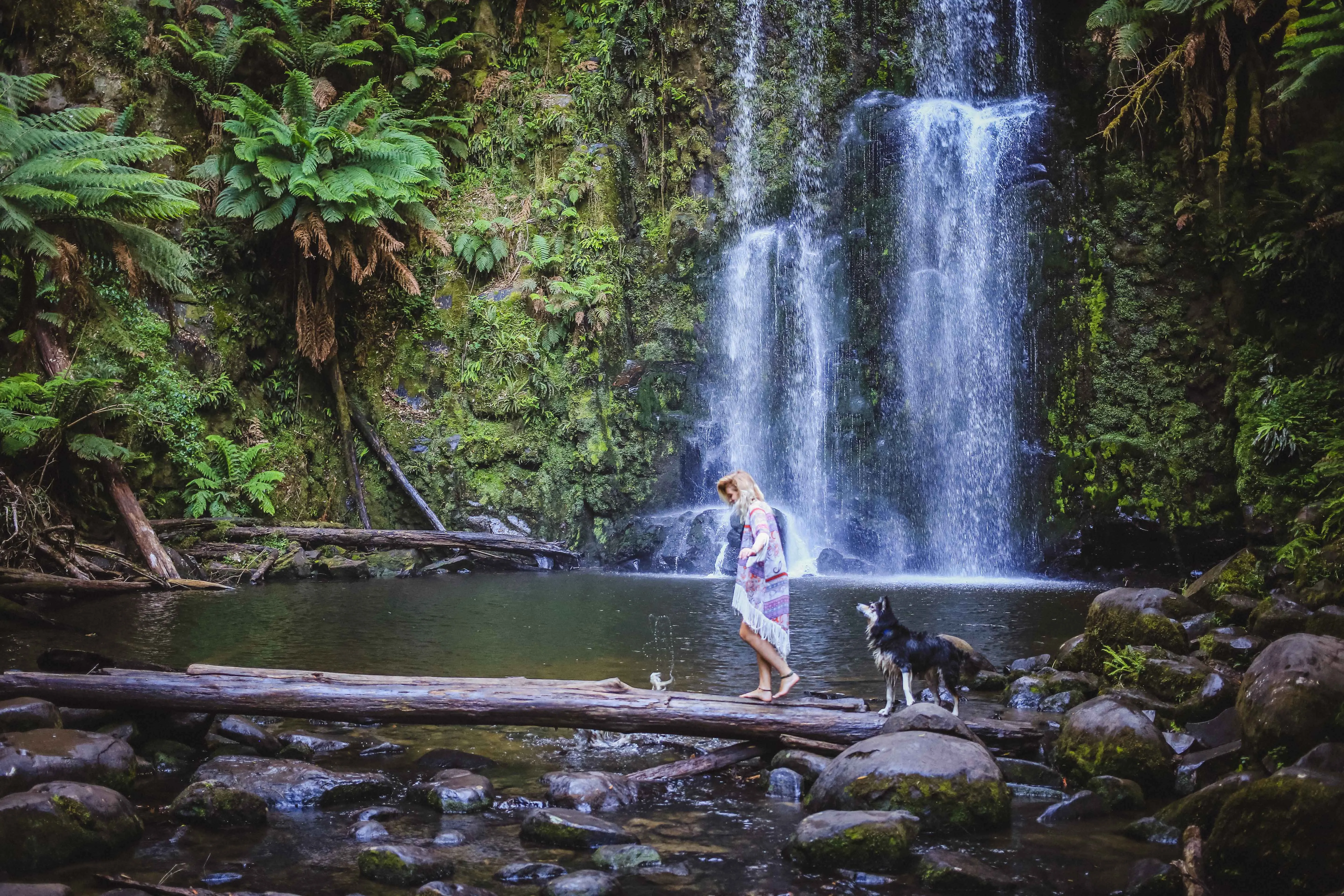 Explore Beauchamp Falls on the Great Ocean Road
