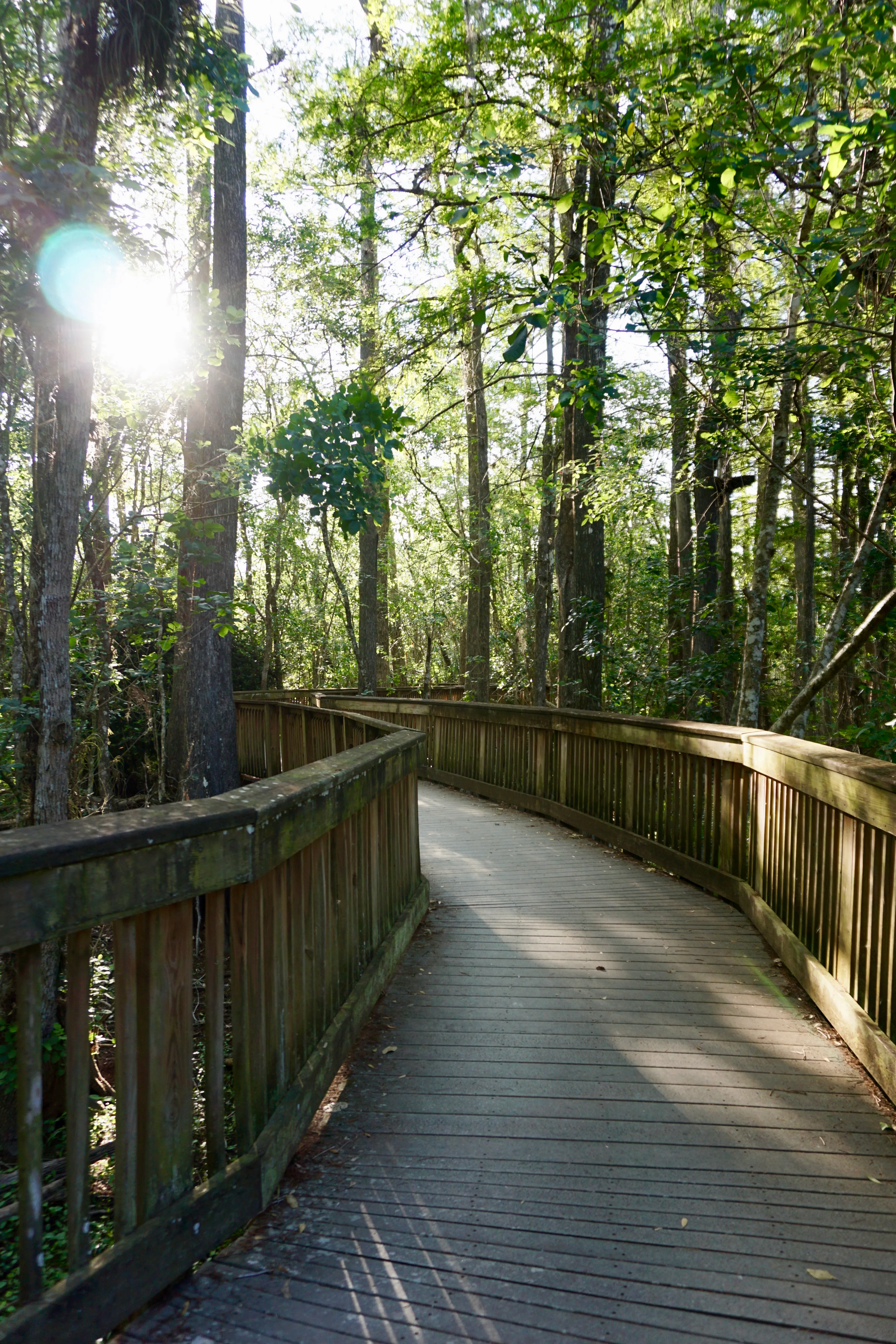 Stroll along the Kirby Storter Boardwalk