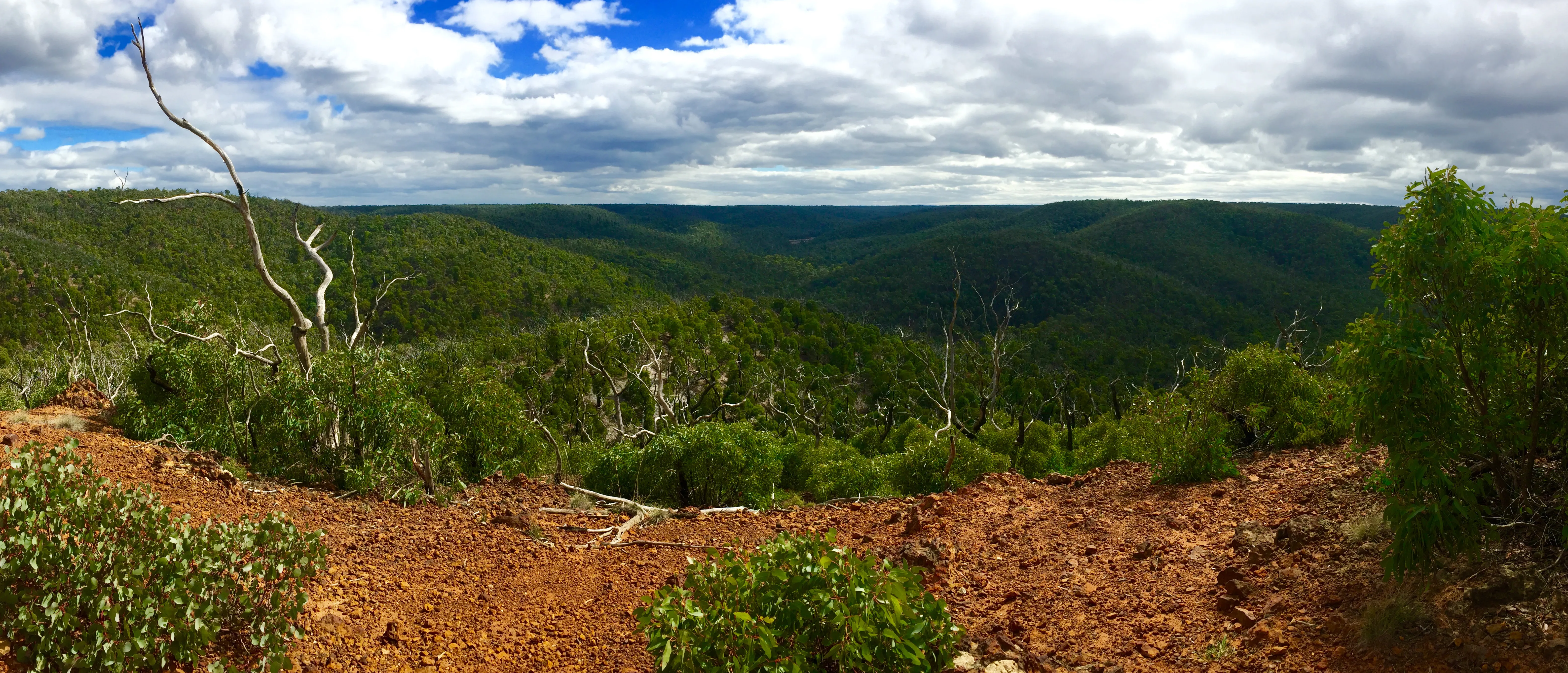 Hike the Ted Errey Nature Circuit