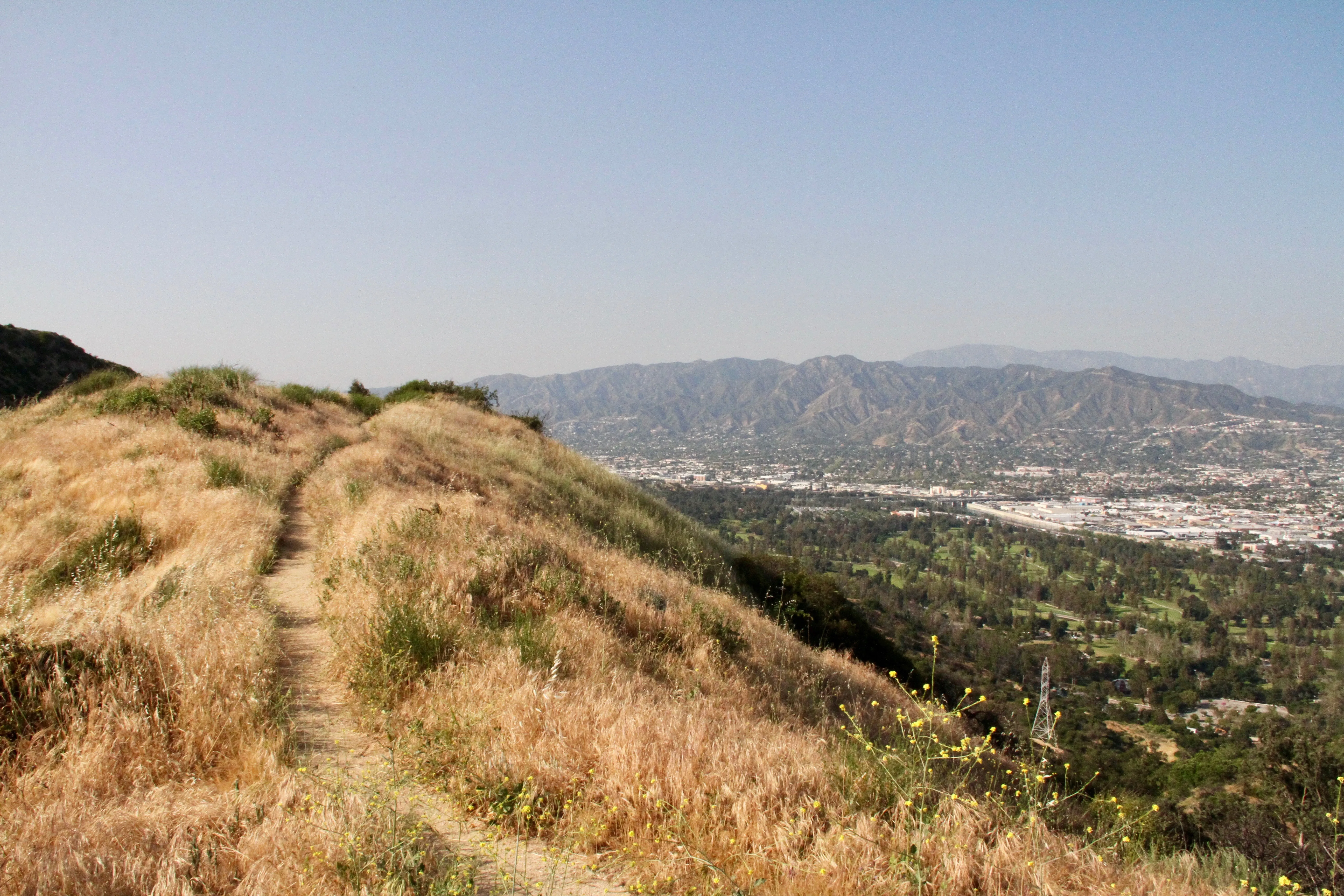 Glendale Peak via Henry's Trail