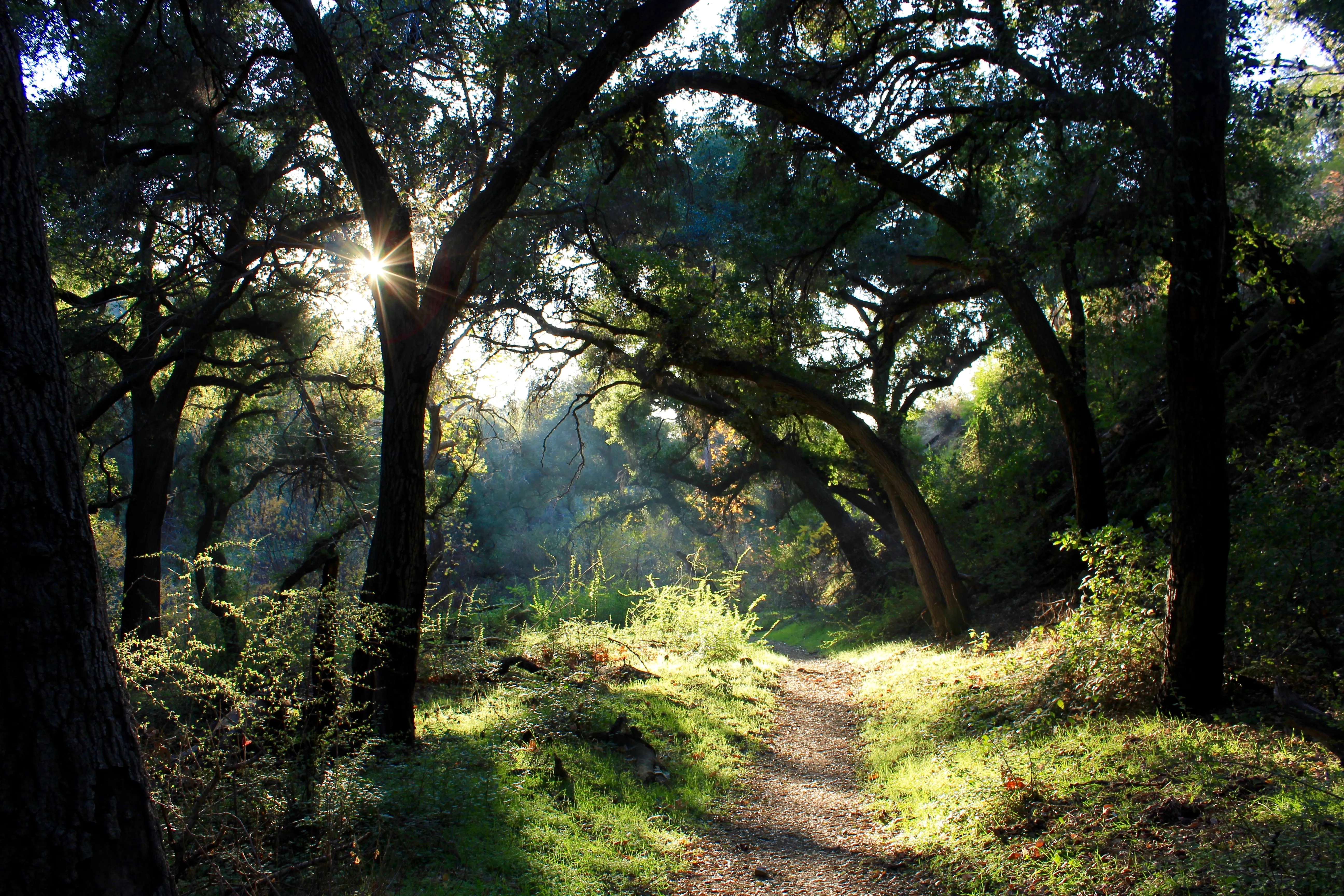 Marshall Canyon Trail