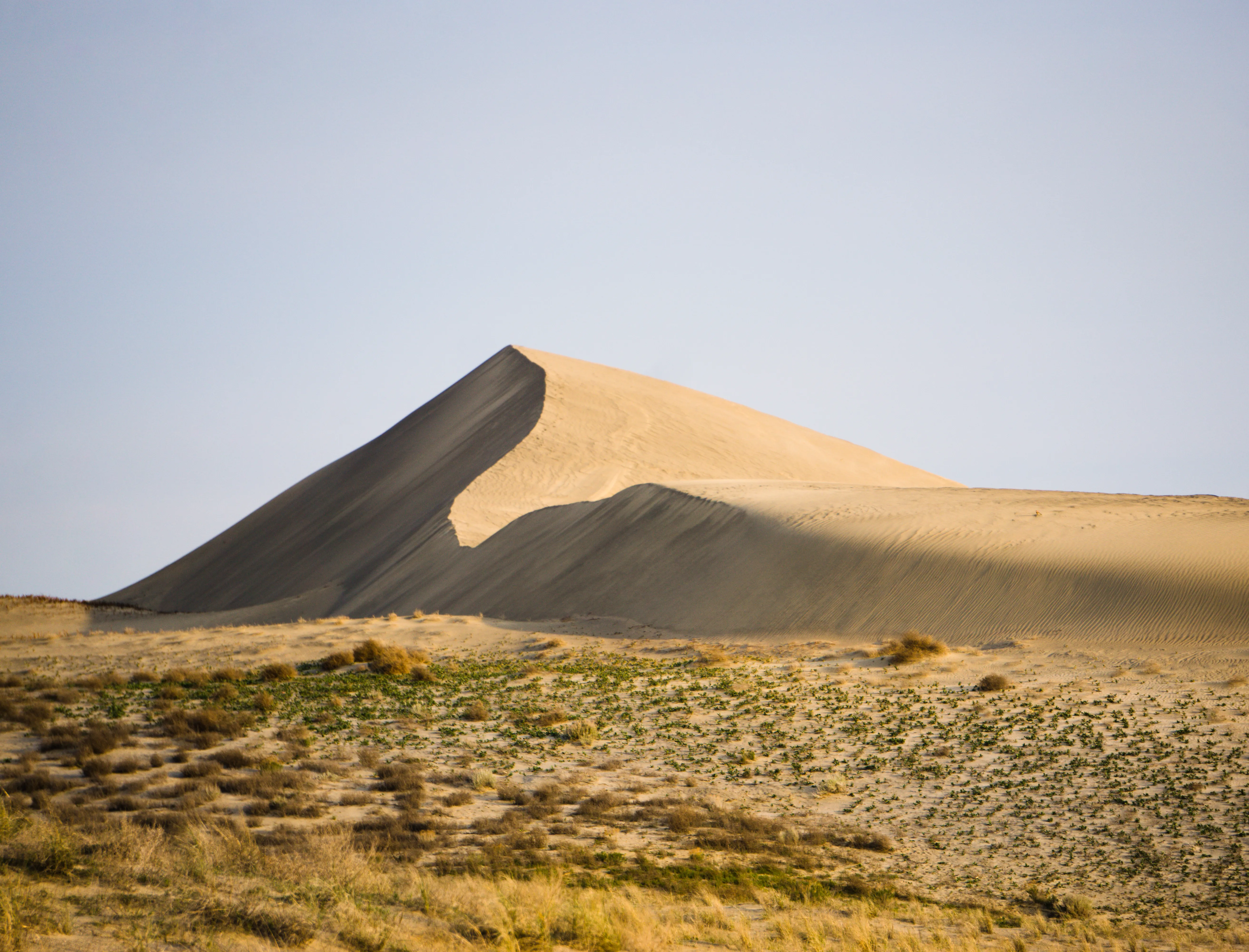 Hike along the White Bluffs of Hanford Reach