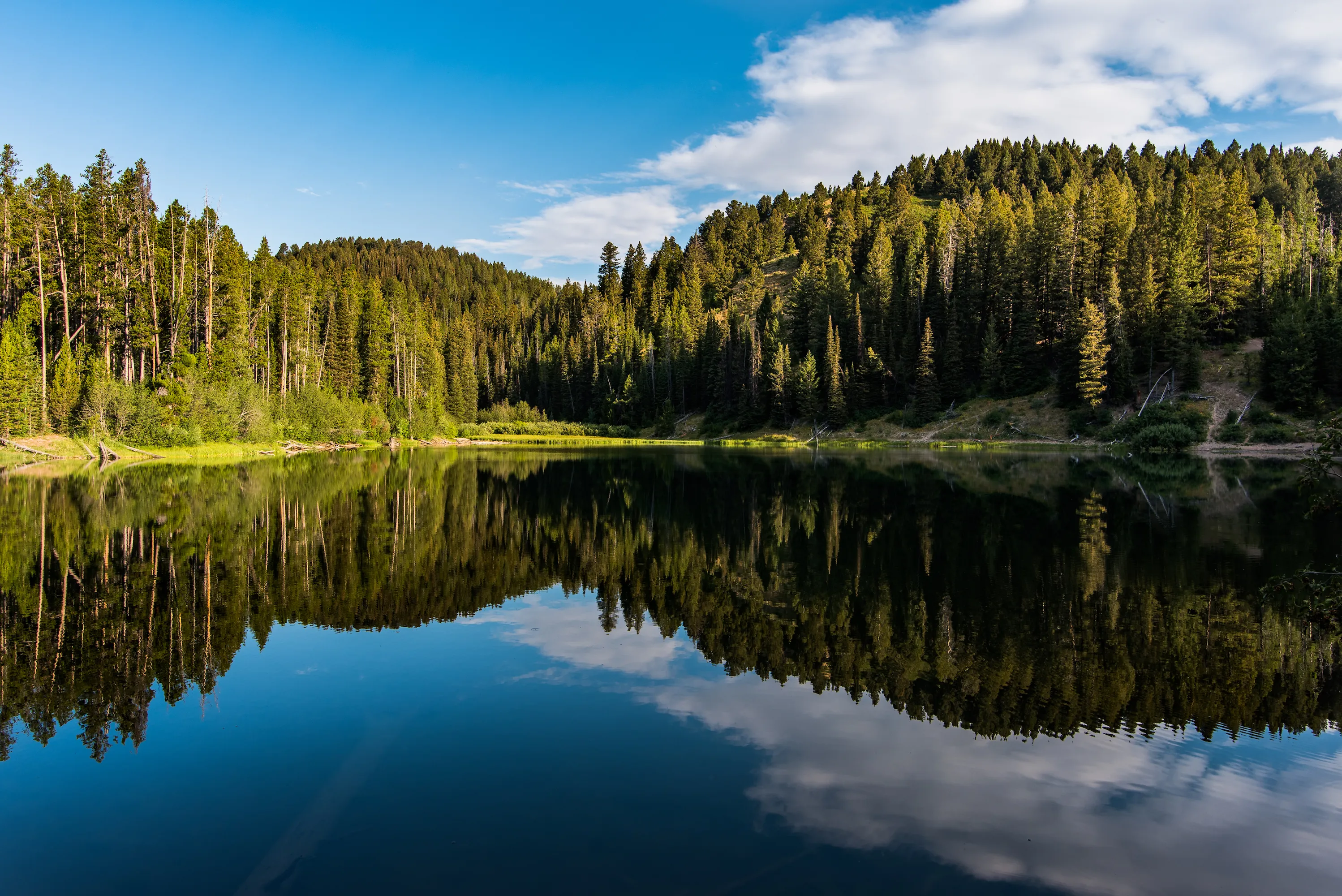Packsaddle Lake