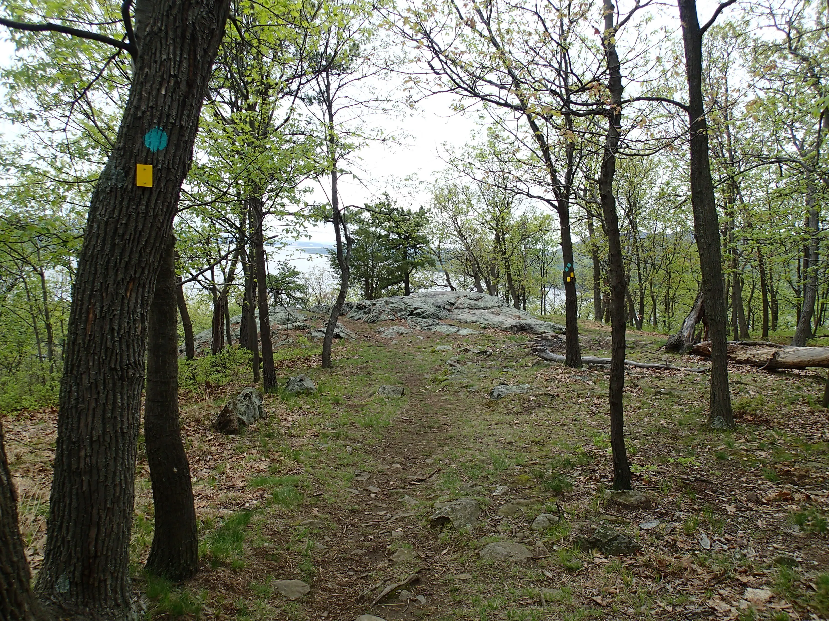 Hike the Stillman - Bluebird Loop