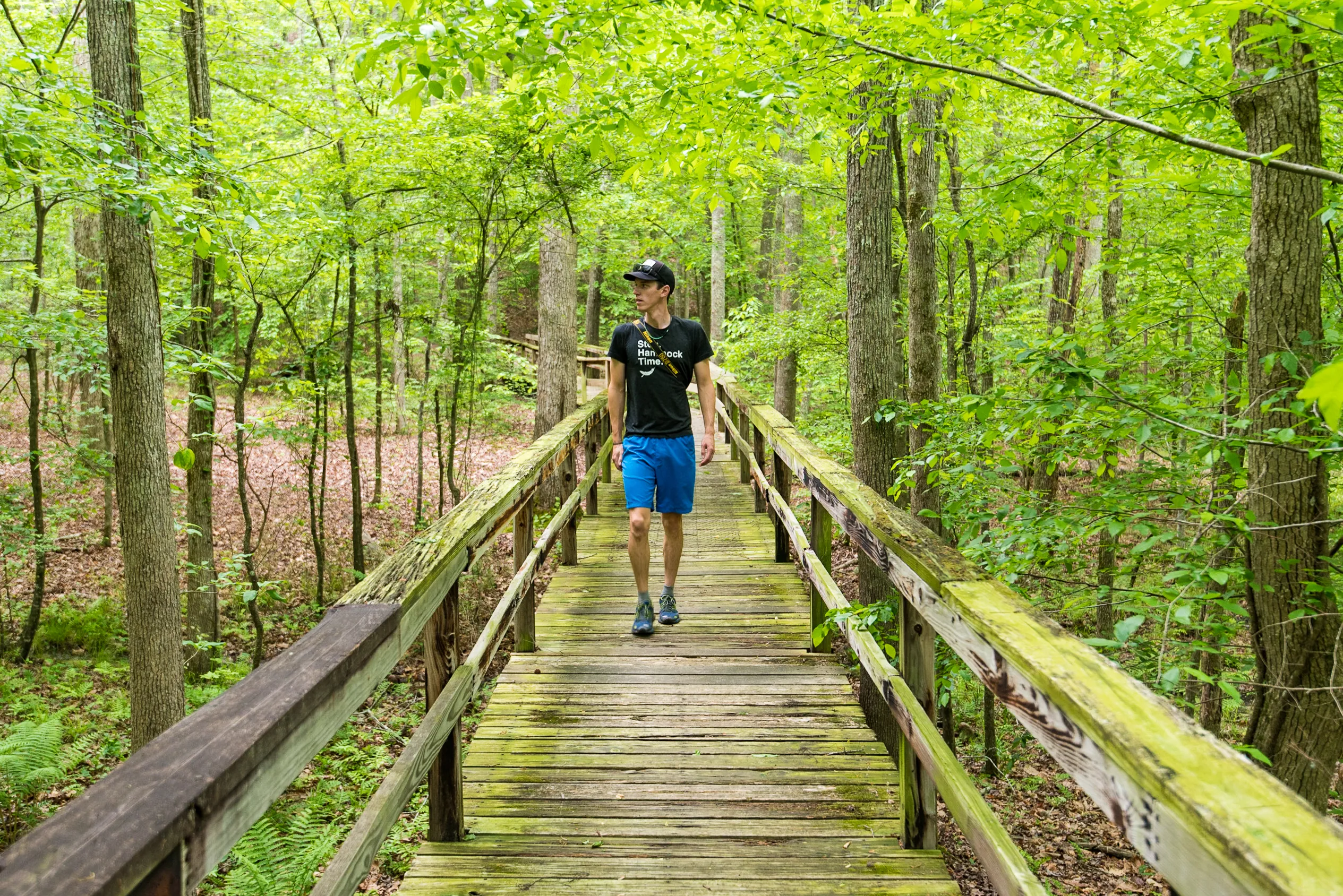 Hike the Dismal Swamp Loop