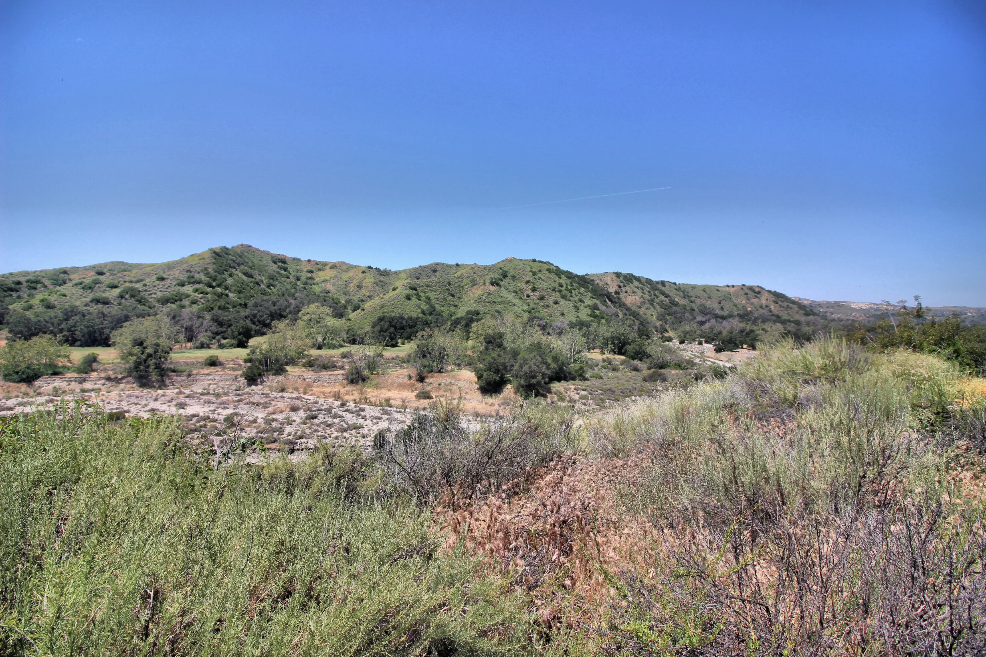 Hike the Pinhead Peak Trail at Ronald W. Caspers Wilderness Park