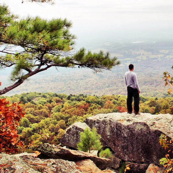 5 Hikes With Stunning Views in Arkansas