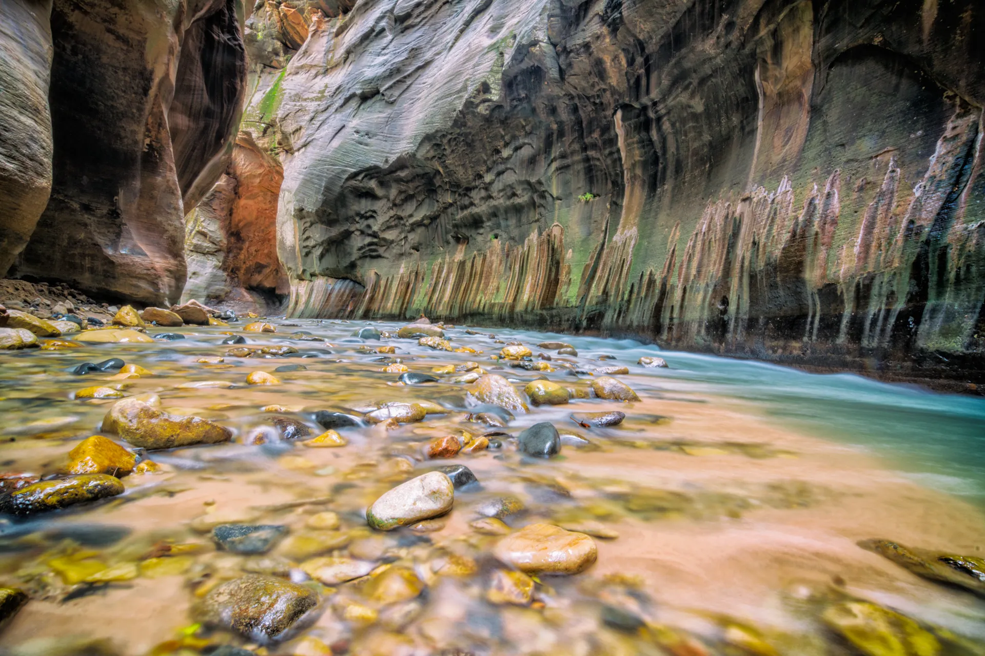 Hike The Narrows: Top Down