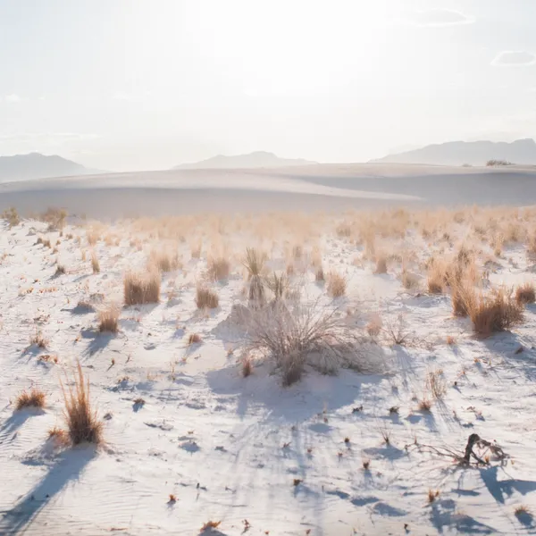 White Sands Adventures in the Land of Enchantment 