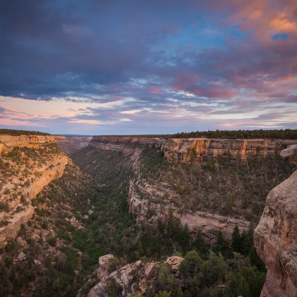 6 Amazing Adventures in Mesa Verde National Park