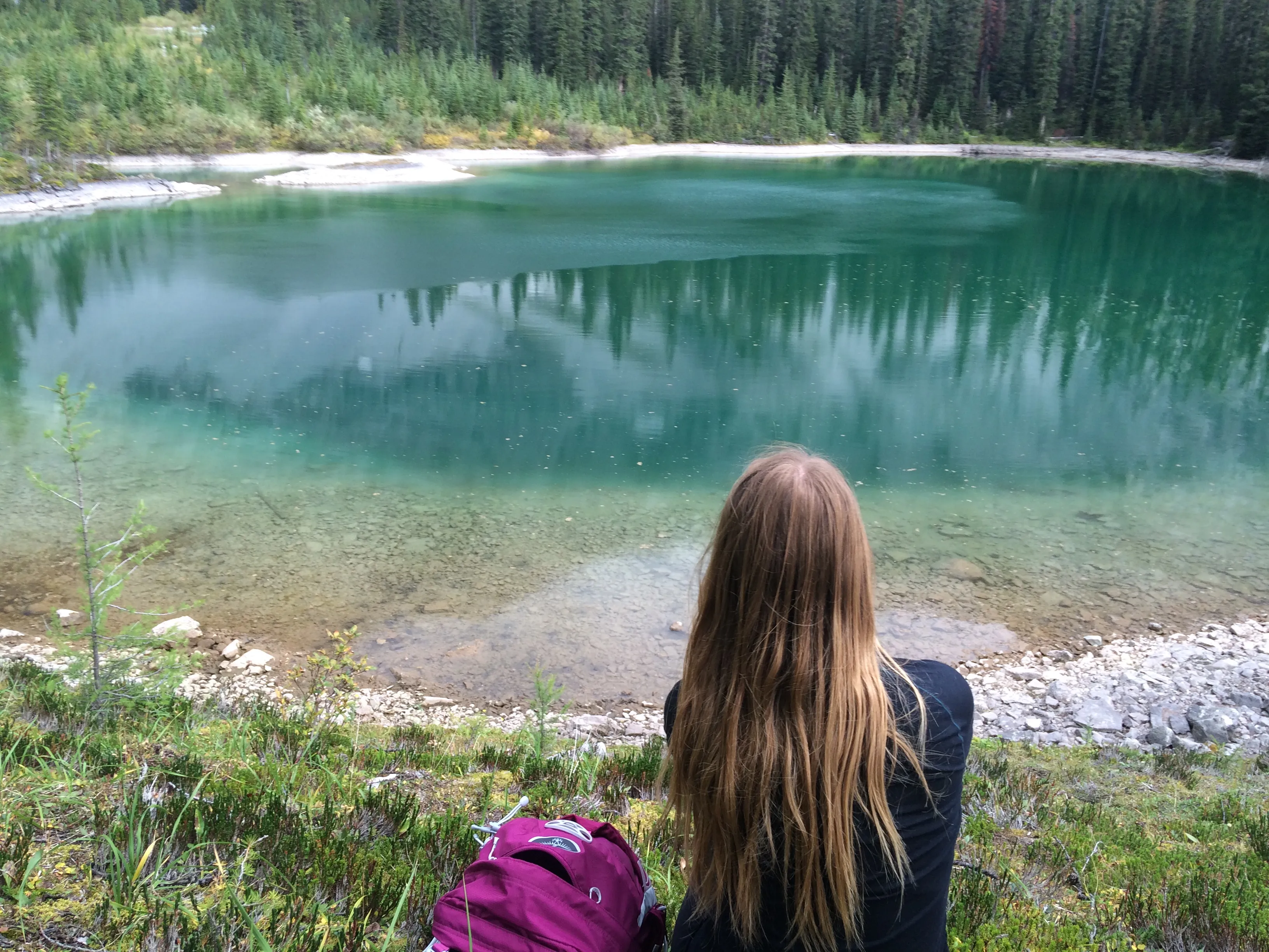 Memorial Lakes 