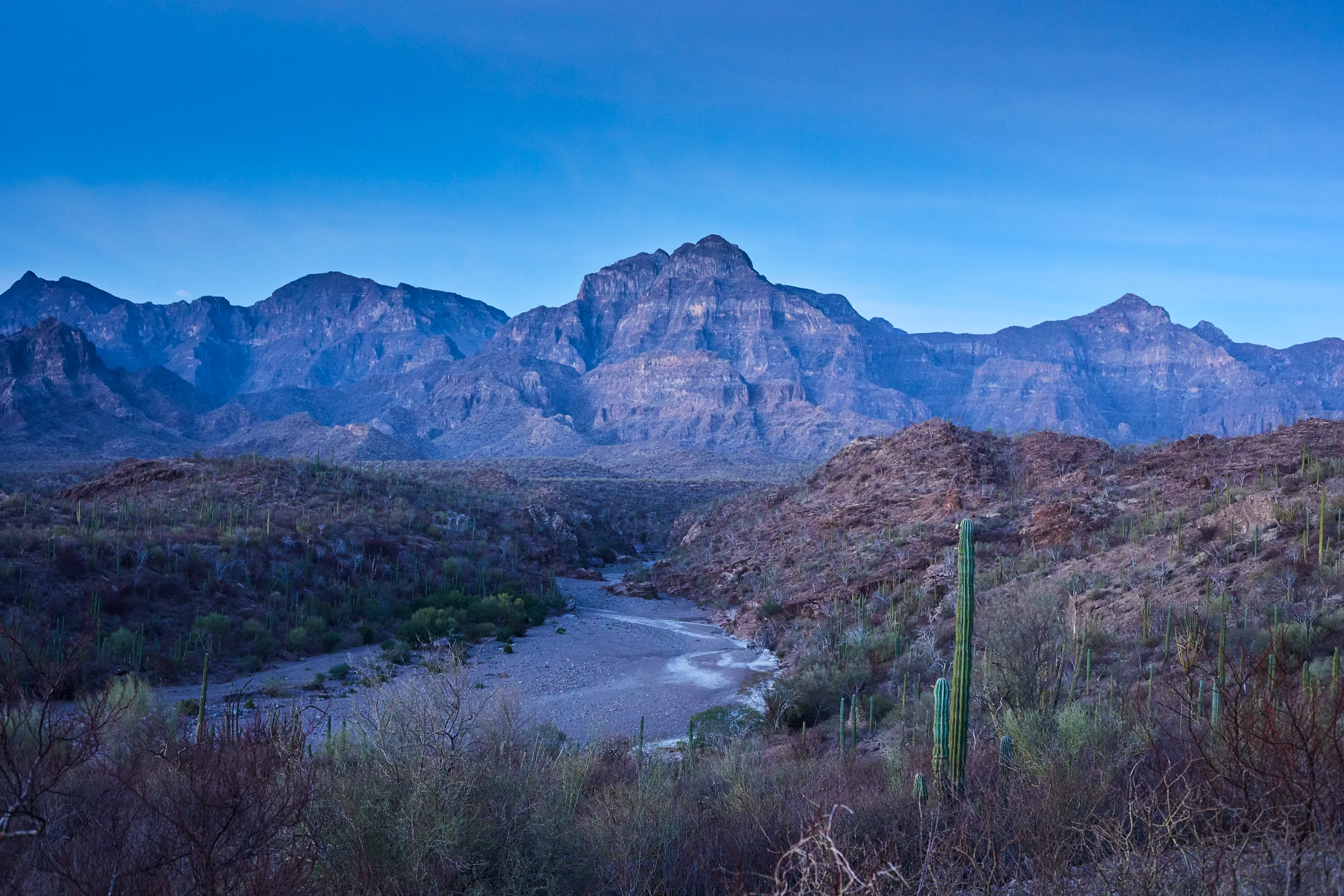 Hike El Tular Canyon in the Sierra de la Gigante Mountains