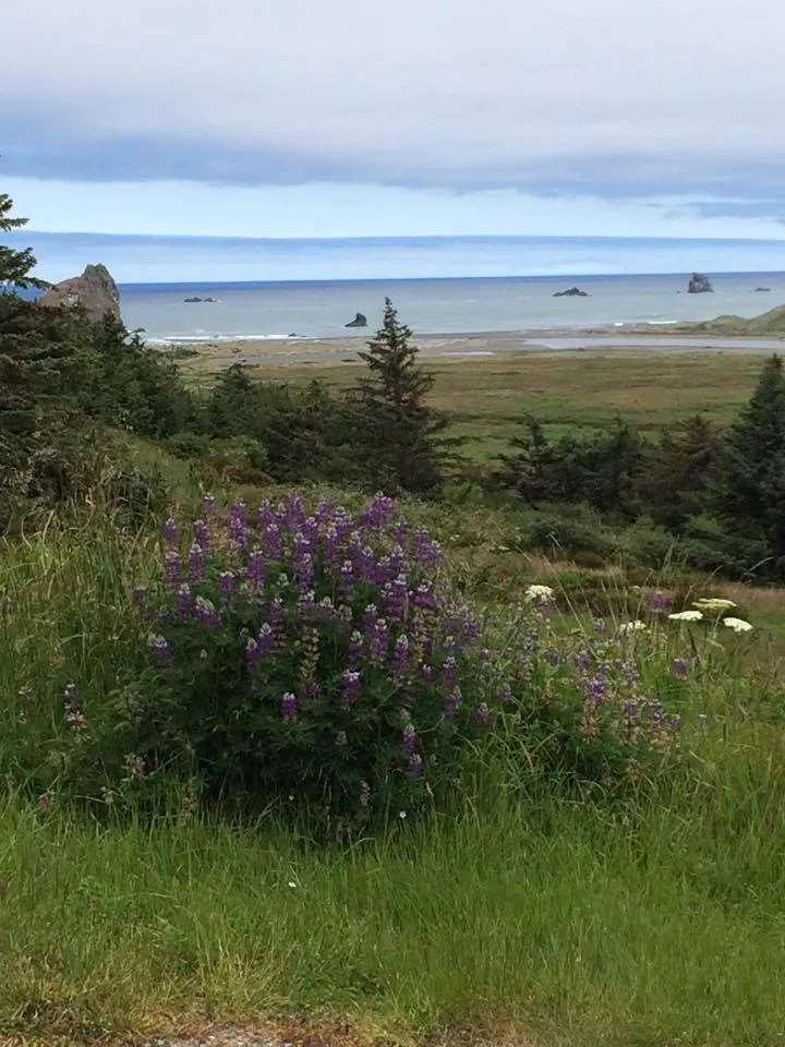 Bike the Wild Rivers Scenic Bikeway
