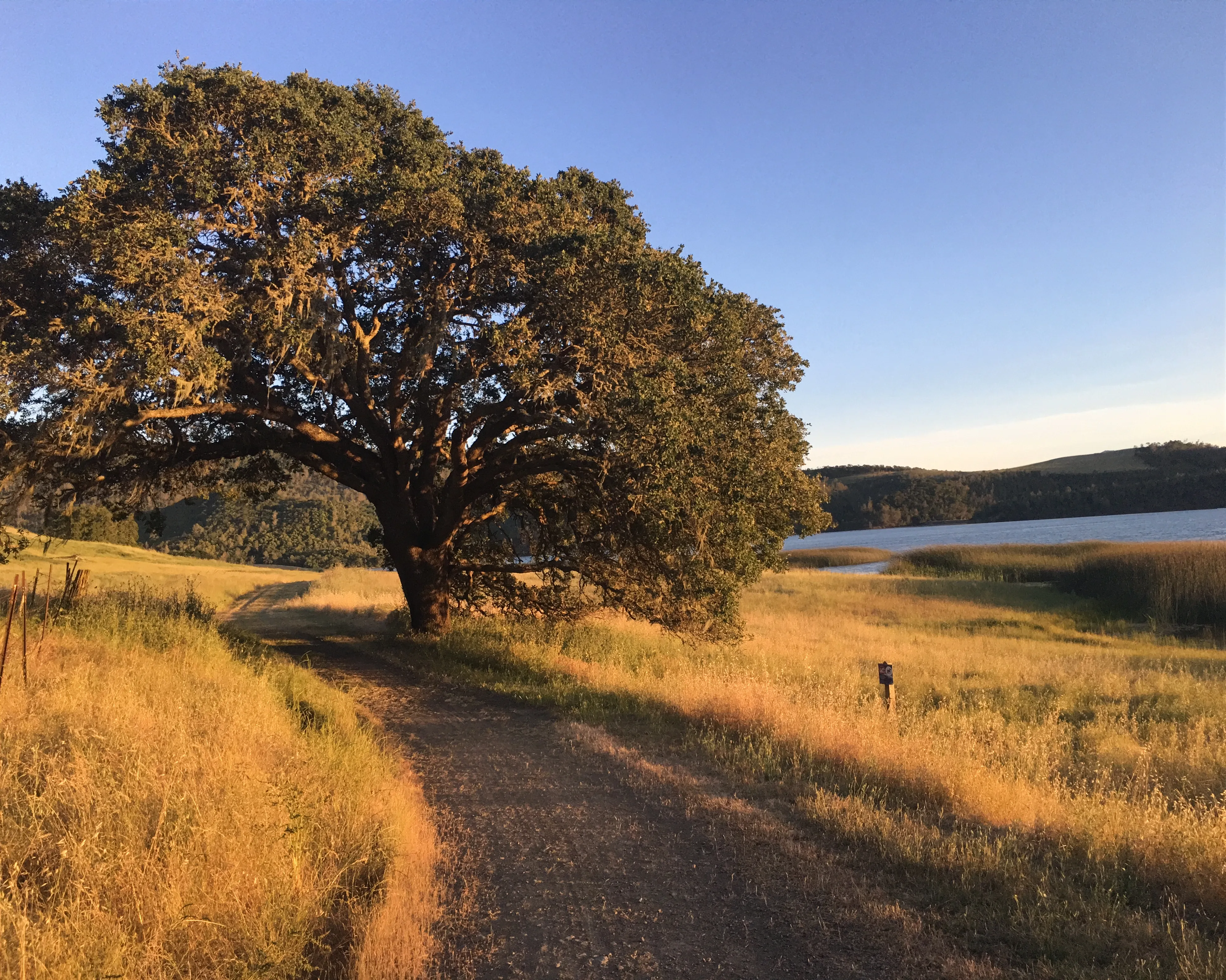 Lake Hennessey Loop