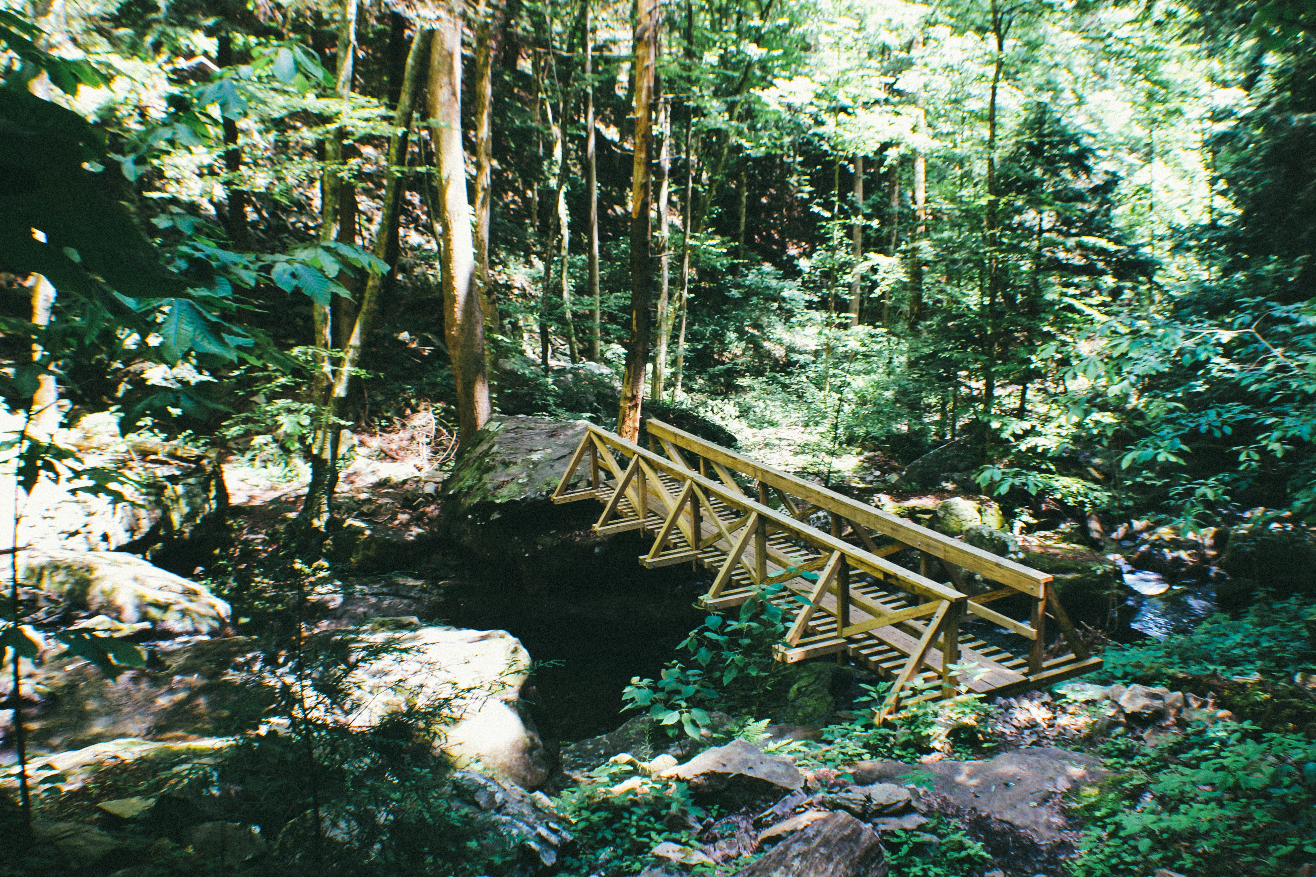 Hike the Fiery Gizzard Trail