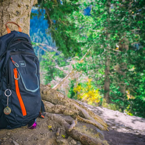 A Guide to Buying and Packing Your Daypack