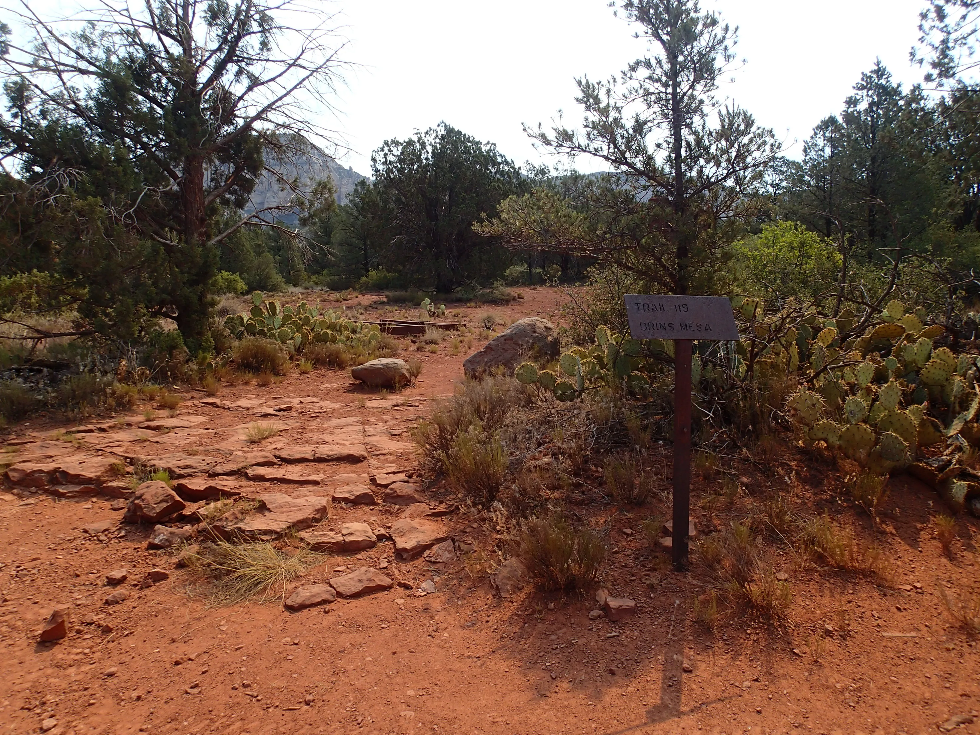 Brins Mesa - Soldier Pass Loop