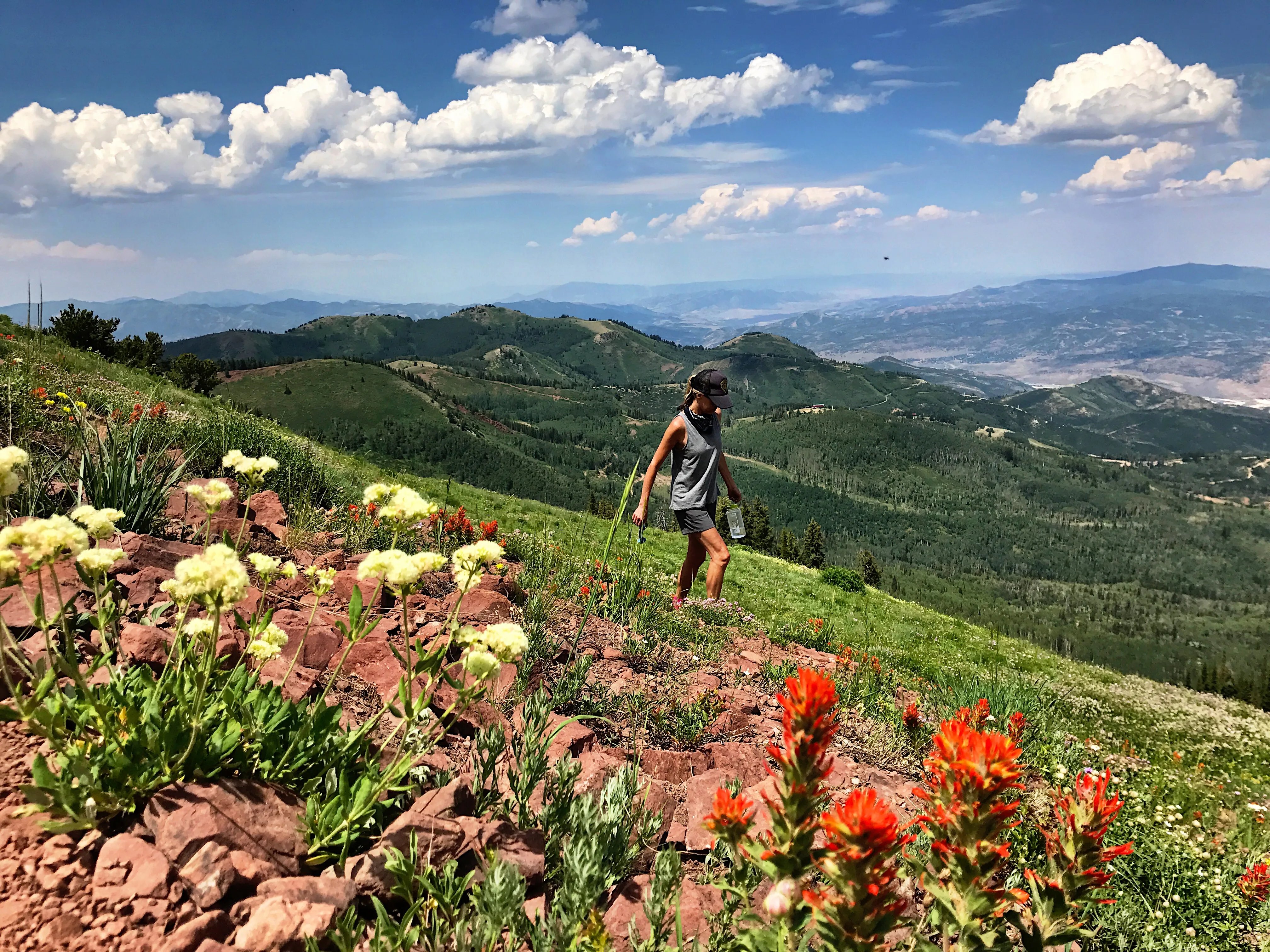 Hike Fantasy Ridge to Desolation Peak from Canyons Village