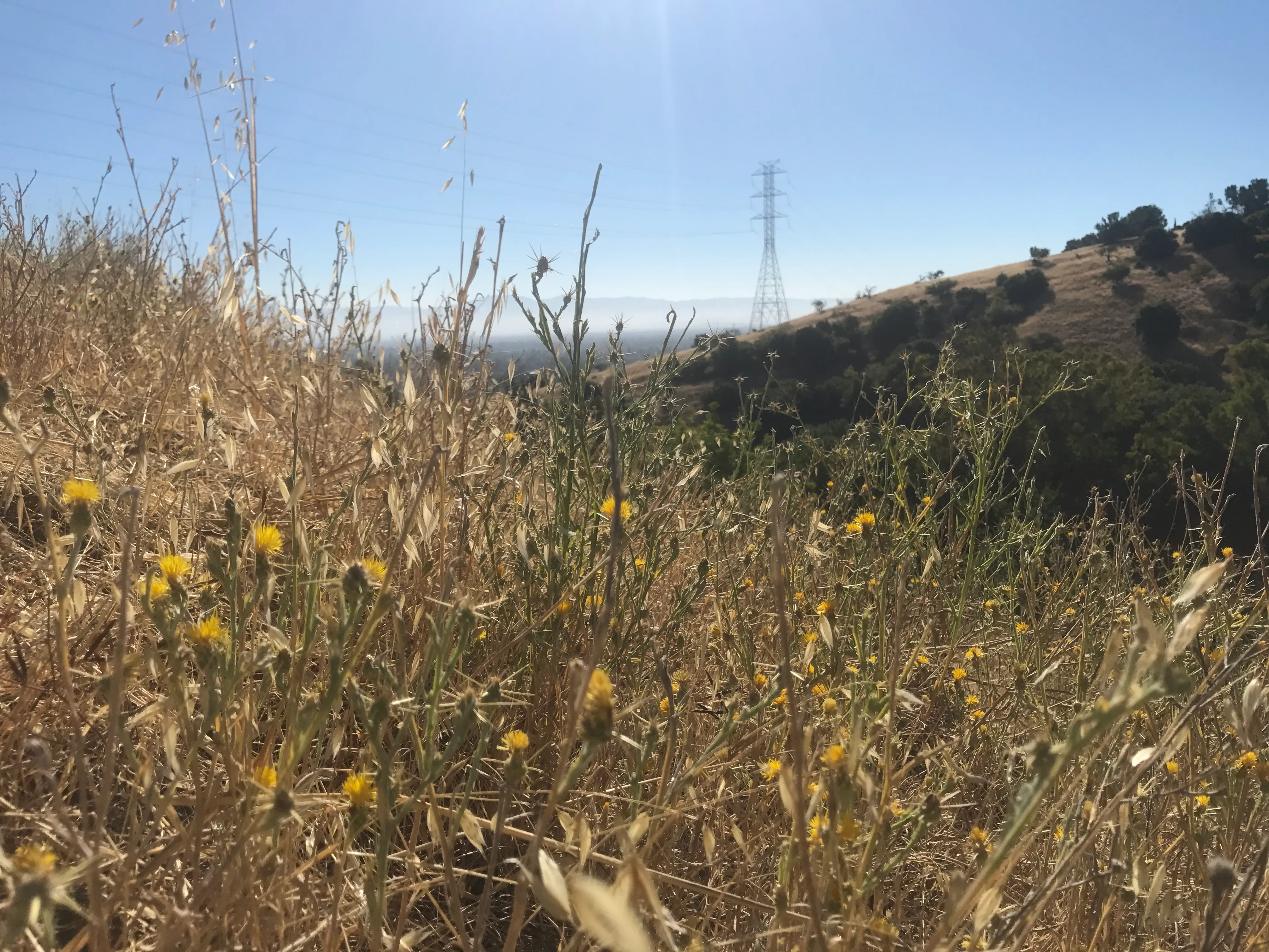 Seven Springs Trail Loop