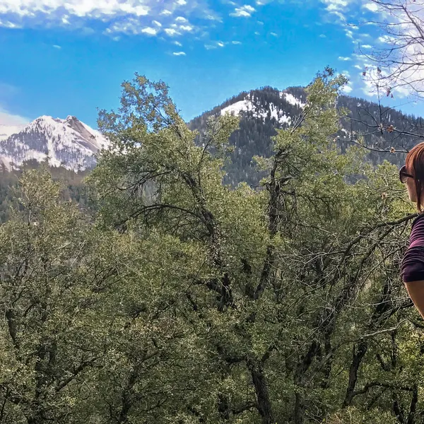 Why the New American Dream Is Nomadic