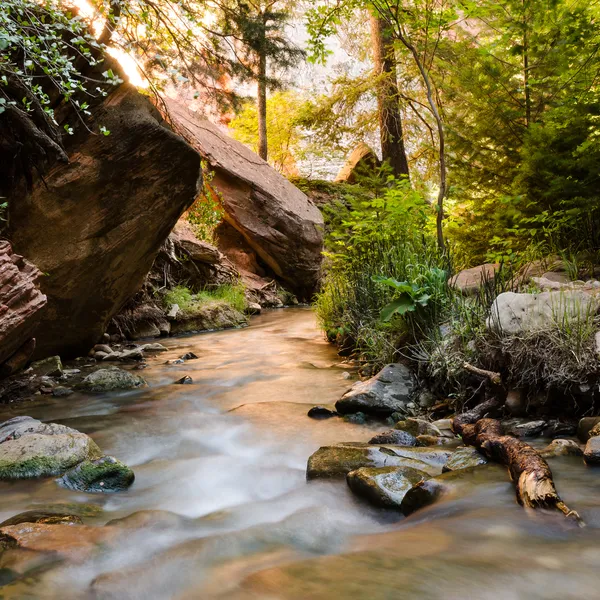 Why Golden Hour in a Slot Canyon Is More Valuable Than Any Possession 